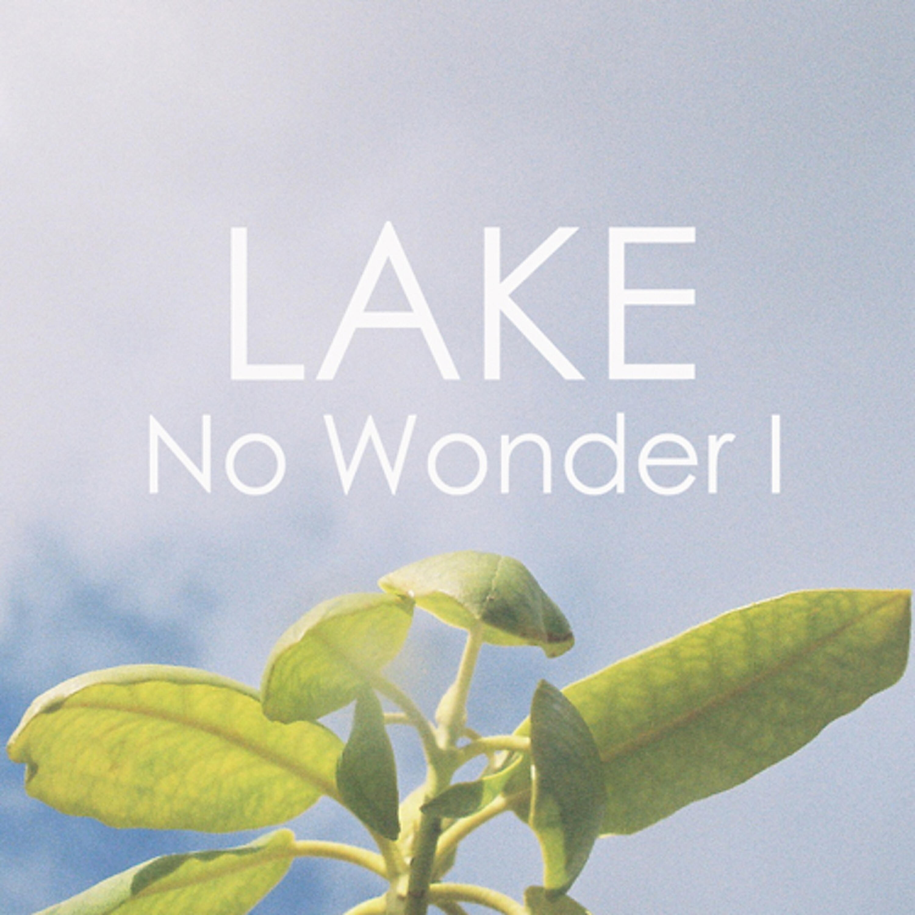 No wonder. Lake - no Wonder i. Lake 