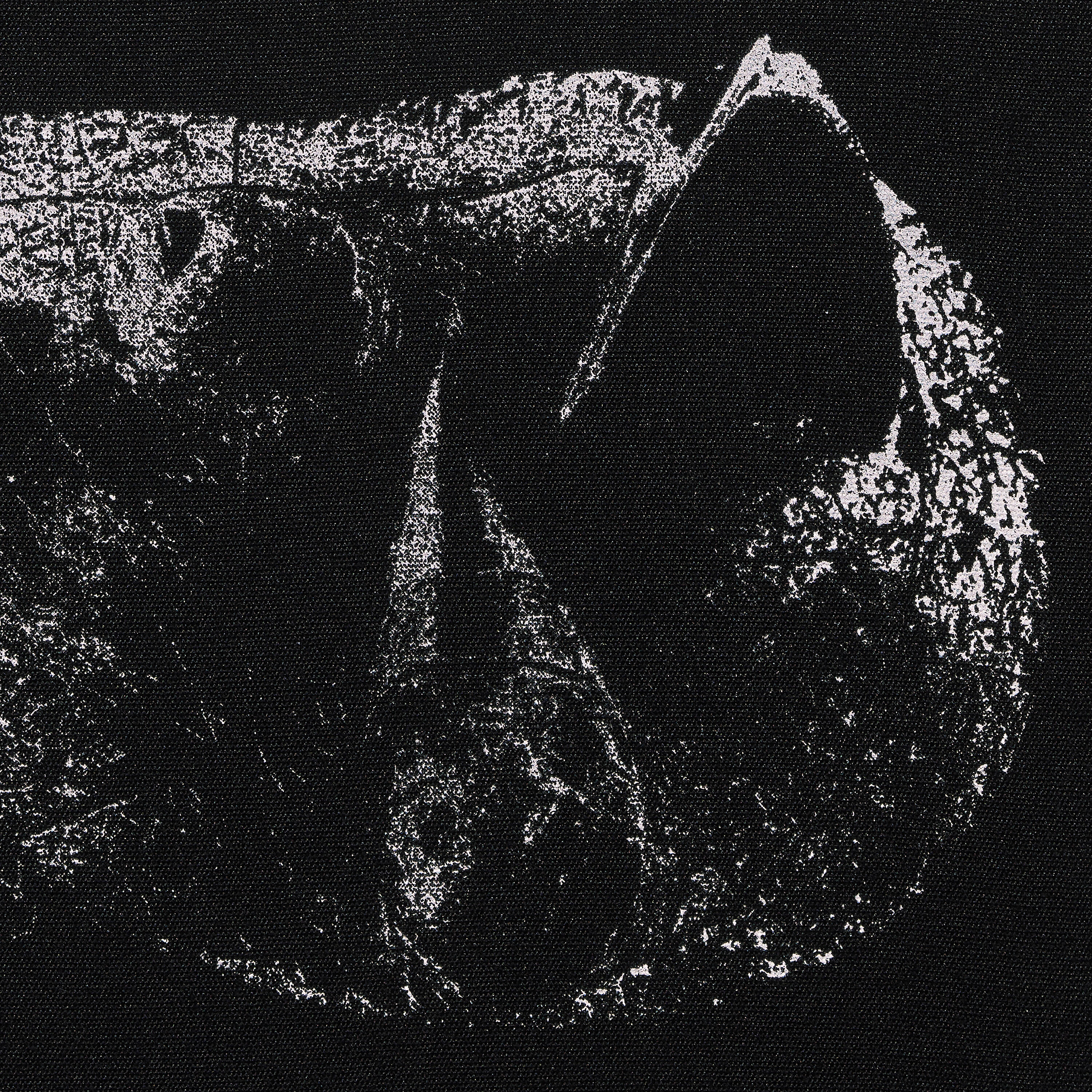 Demon Head - The Feline Smile