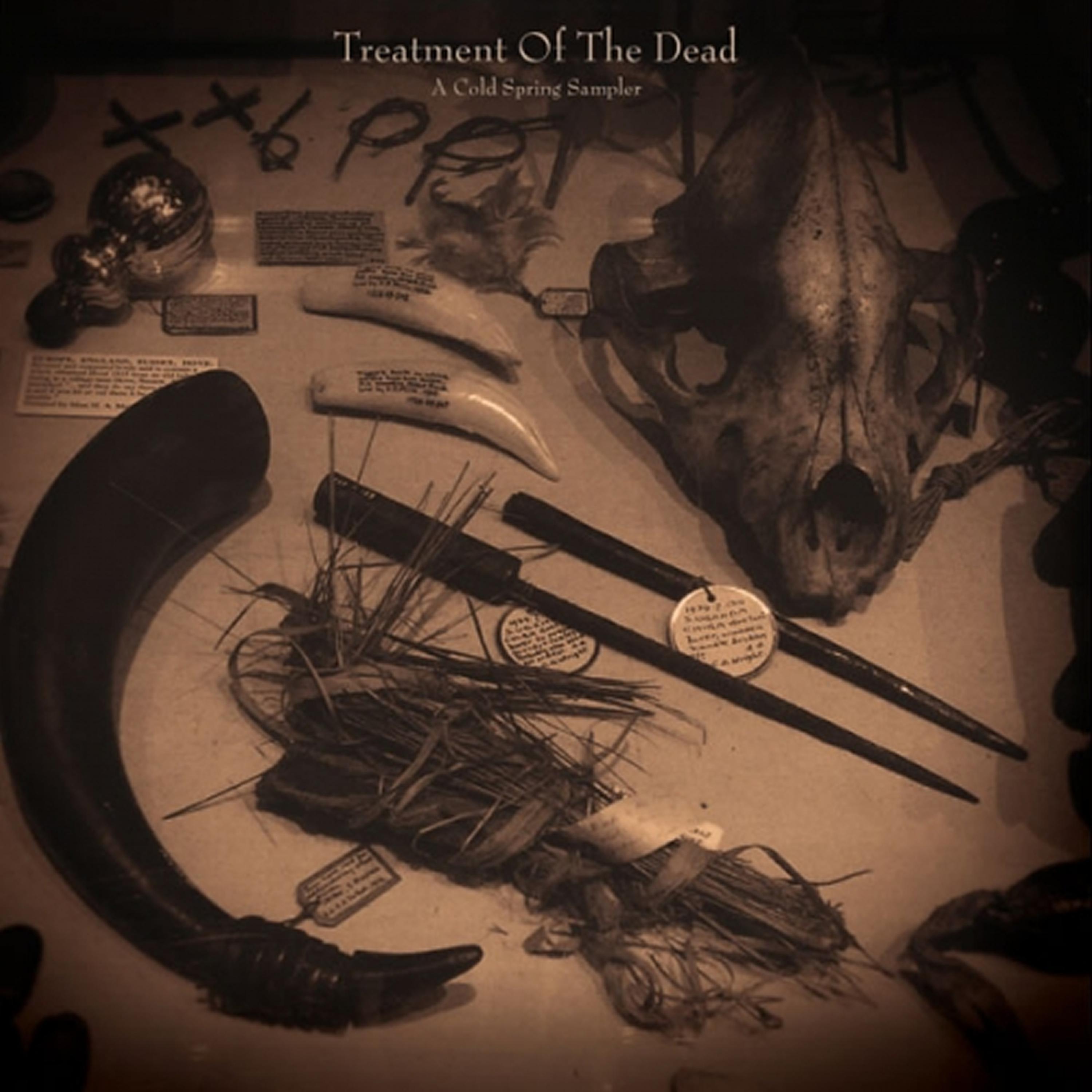 Постер альбома Treatment of the Dead - A Cold Spring Sampler
