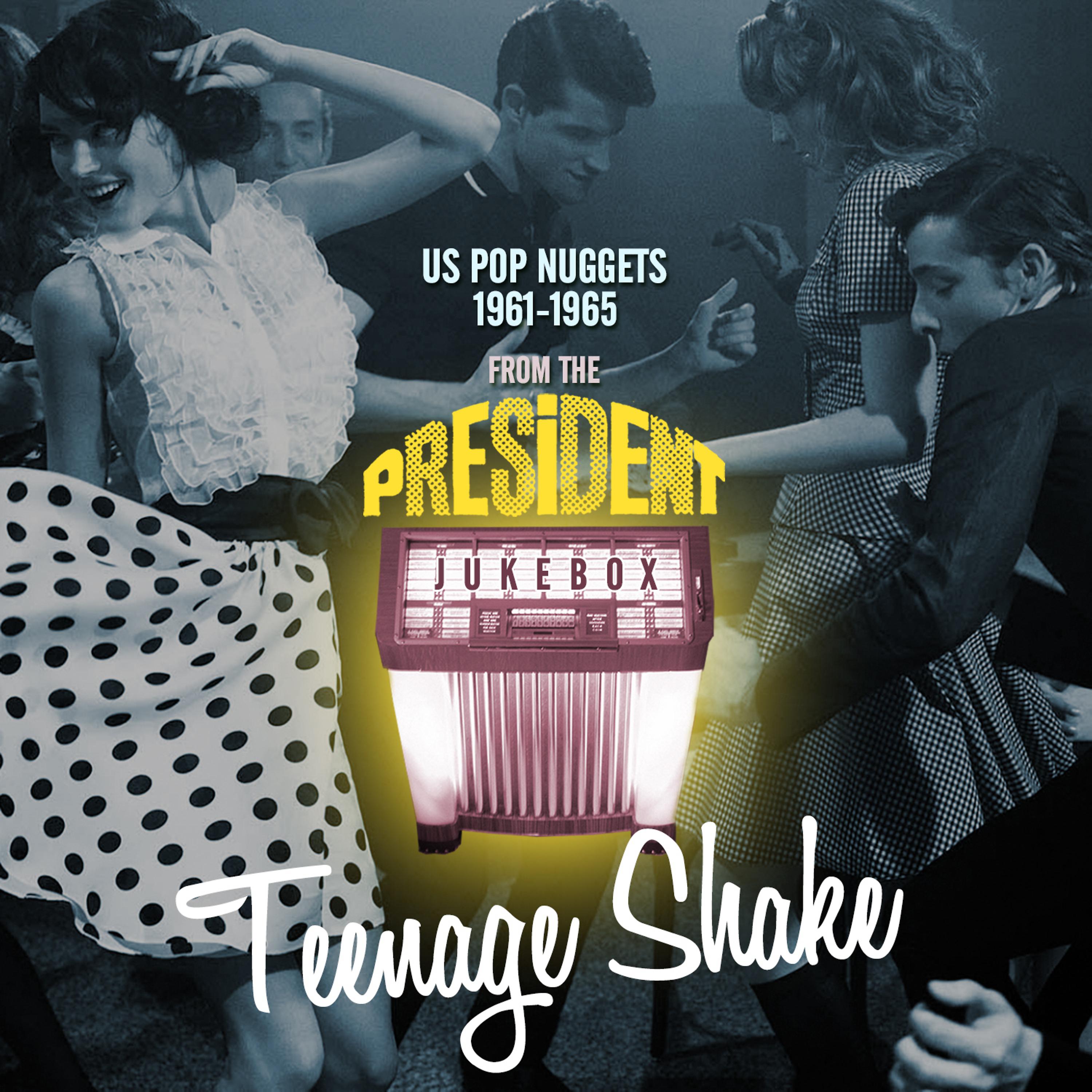 Постер альбома Teenage Shake - Us Pop Nuggets 1961-1965 from the President Jukebox