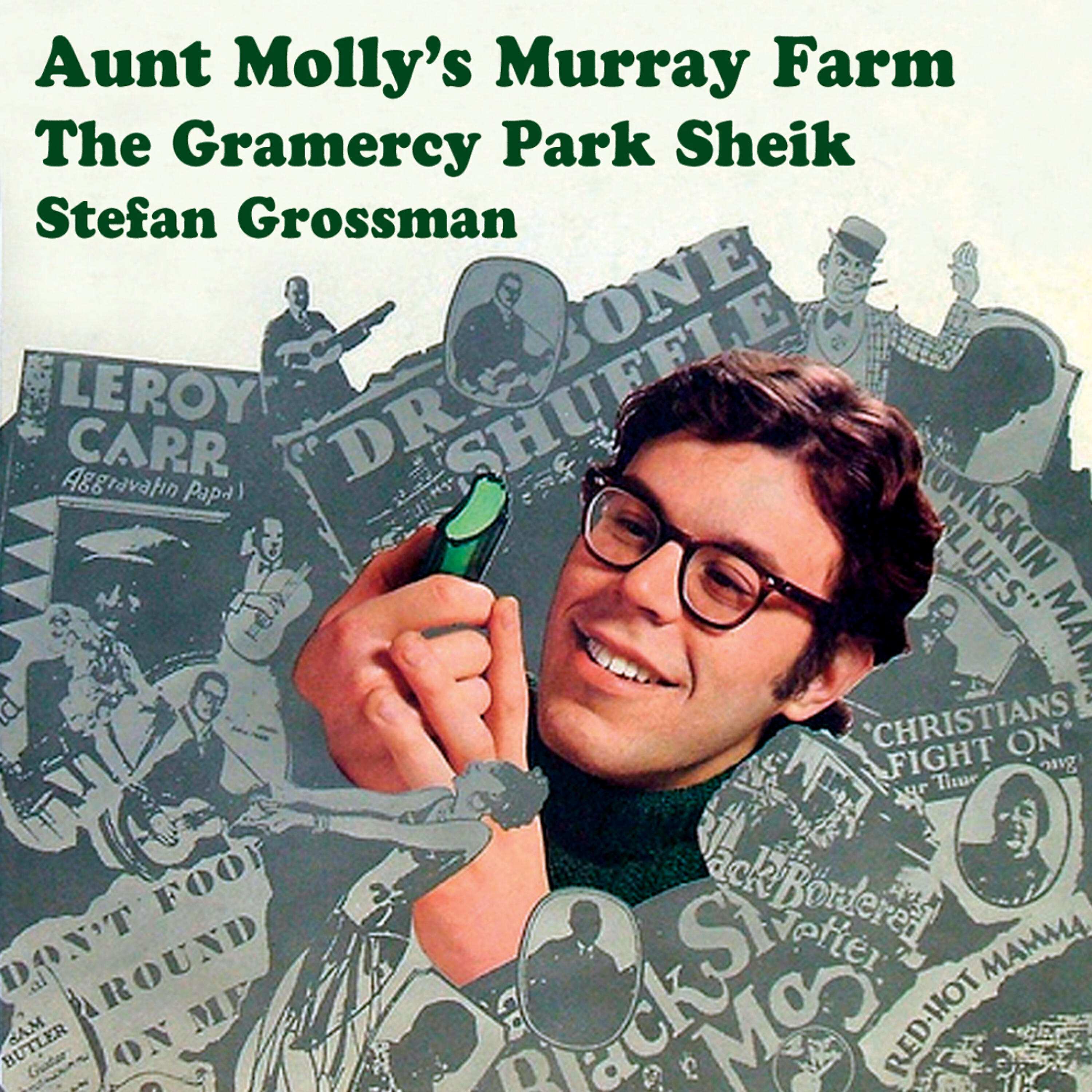 Stefan Grossman - Aunt Molly's Murray Farm (Aunt Molly's Murray Farm)