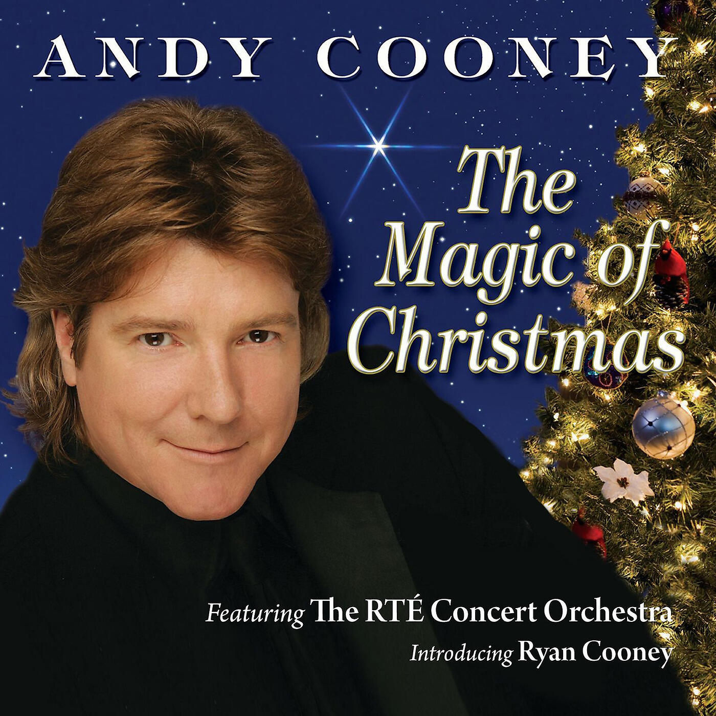 Andy Cooney - Silver Bells