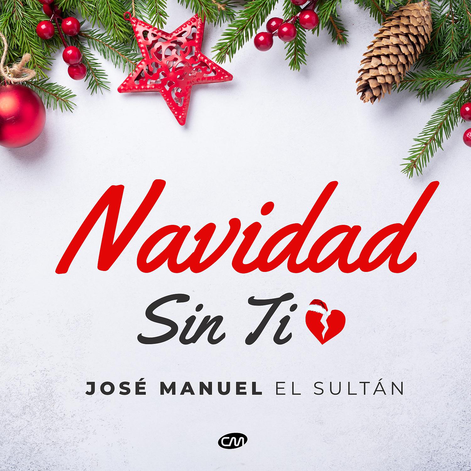 Постер альбома Navidad Sin Ti