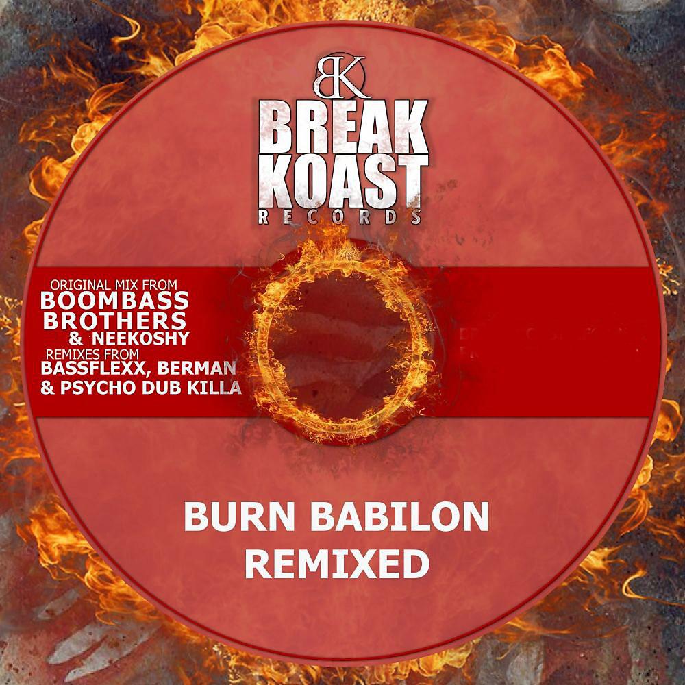 Постер альбома Burn Babylon (Remixes)