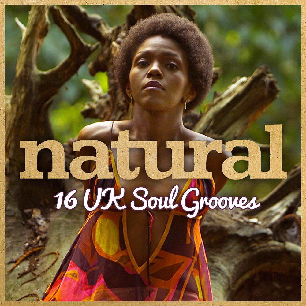 Постер альбома Natural: 16 UK Soul Grooves