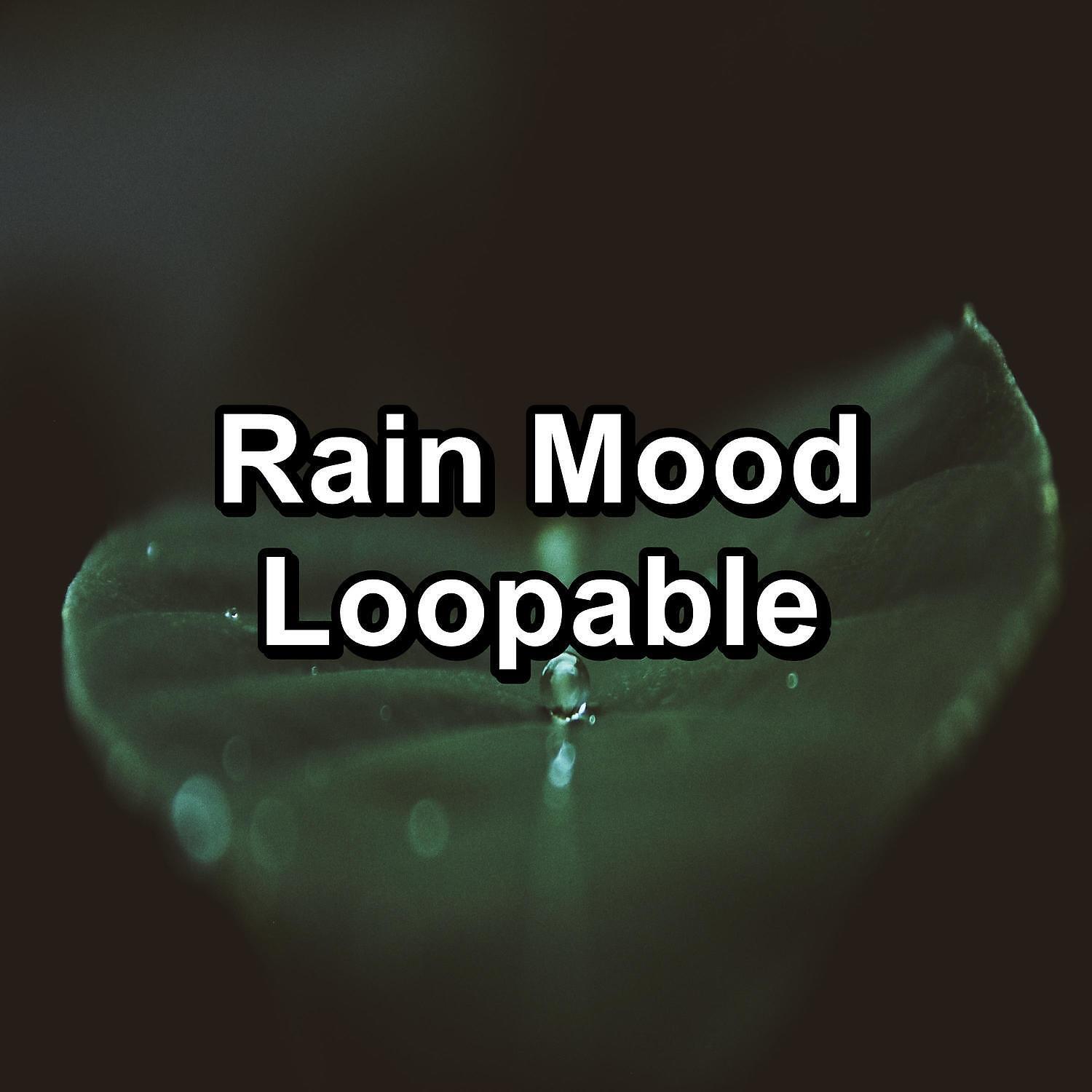 Rain Forest - Rain Sound With Ocean Waves Relaxing and Loopable for a 10 Hours Sleep