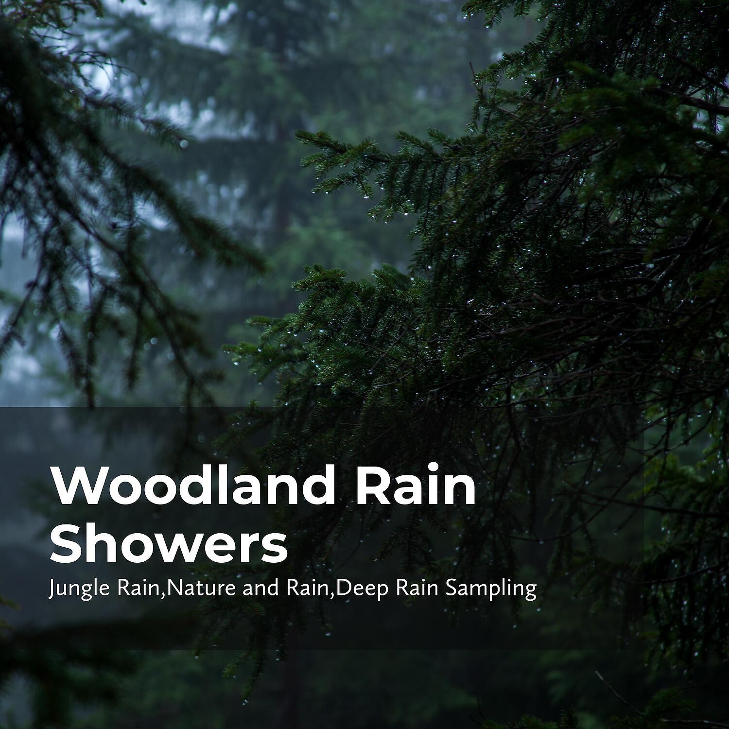 Deep Rain Sampling - Rain Chirping Fowls