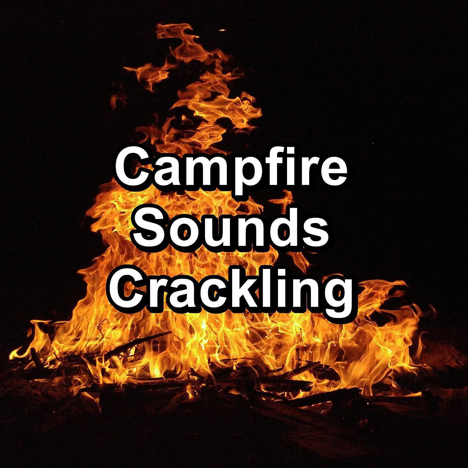 Постер альбома Campfire Sounds Crackling