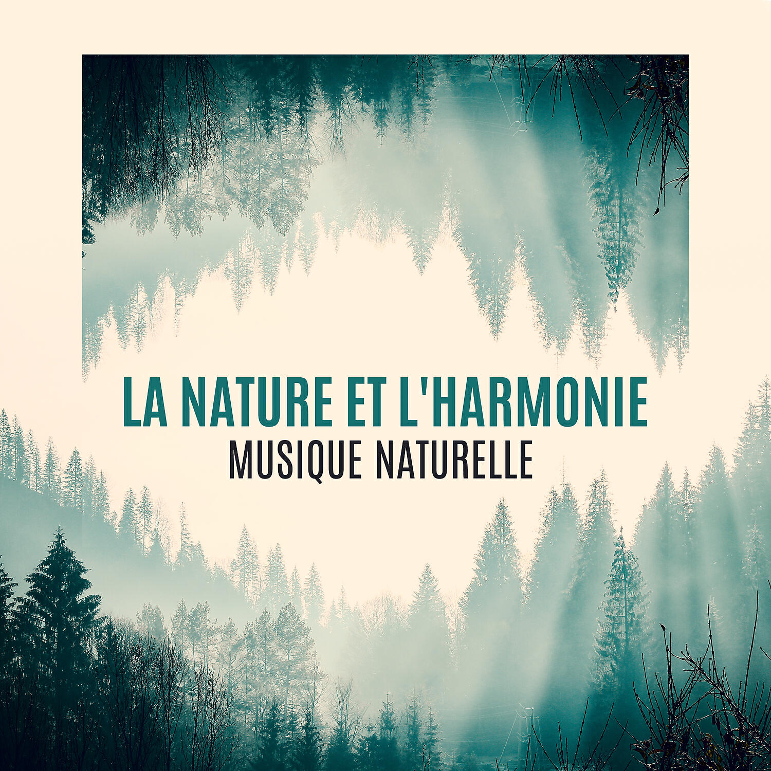 Collection de Musique Naturelle - Nuit magique et apaisante