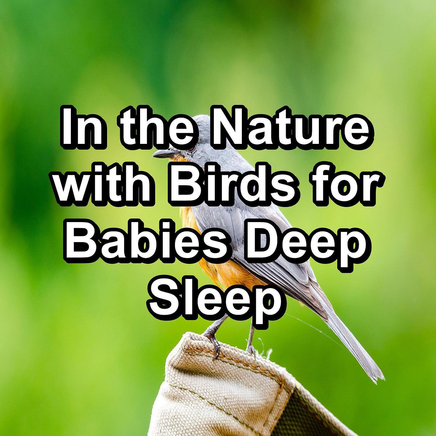 Piano and Ocean Waves - Cozy Bird Sounds Cozy Day and Night For Babies and Infants