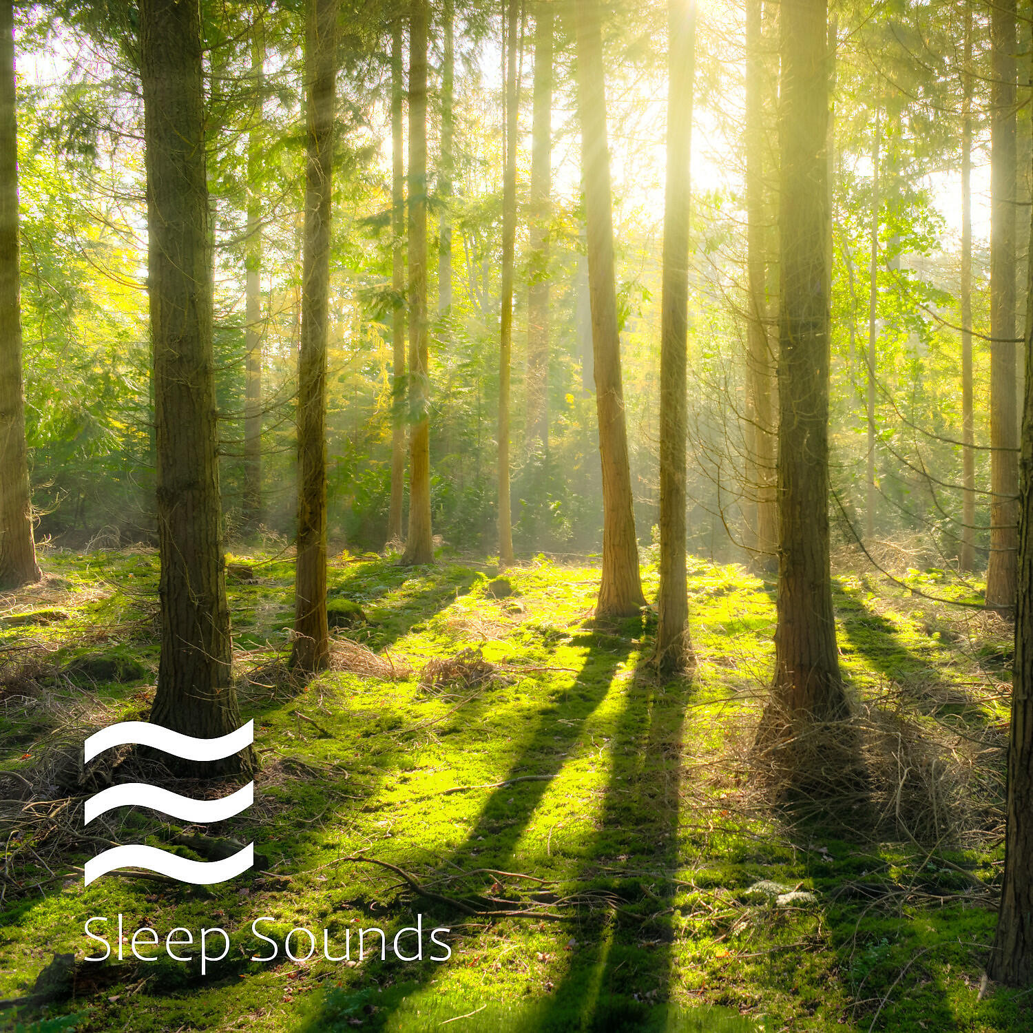 Baby Rain Sound Sleep - Rain for Calm Baby Relief