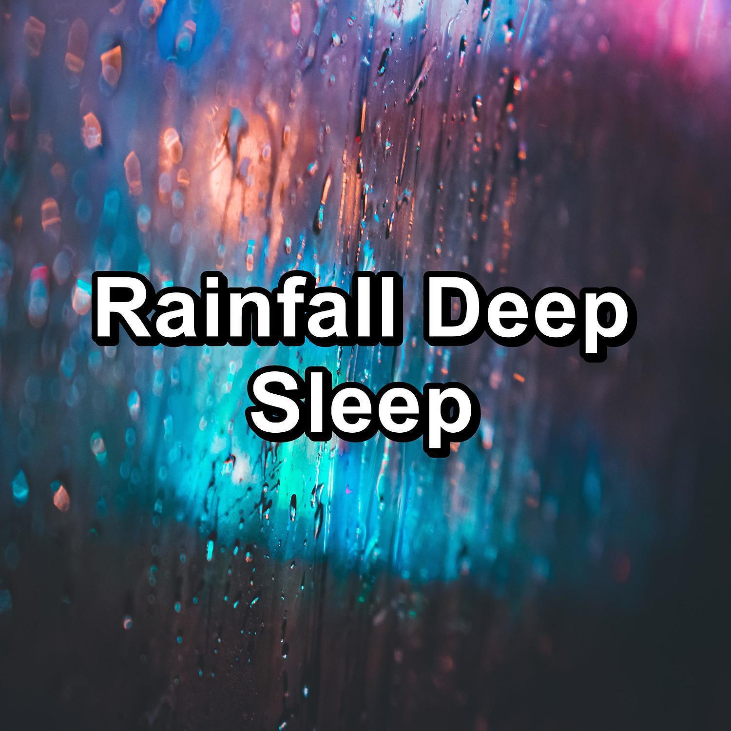 Постер альбома Rainfall Deep Sleep