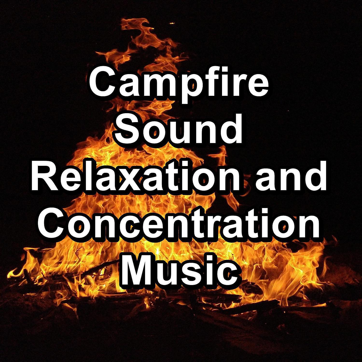 Fire Sounds & Fireplace Sounds - Fire For Studying Christmas Campfire