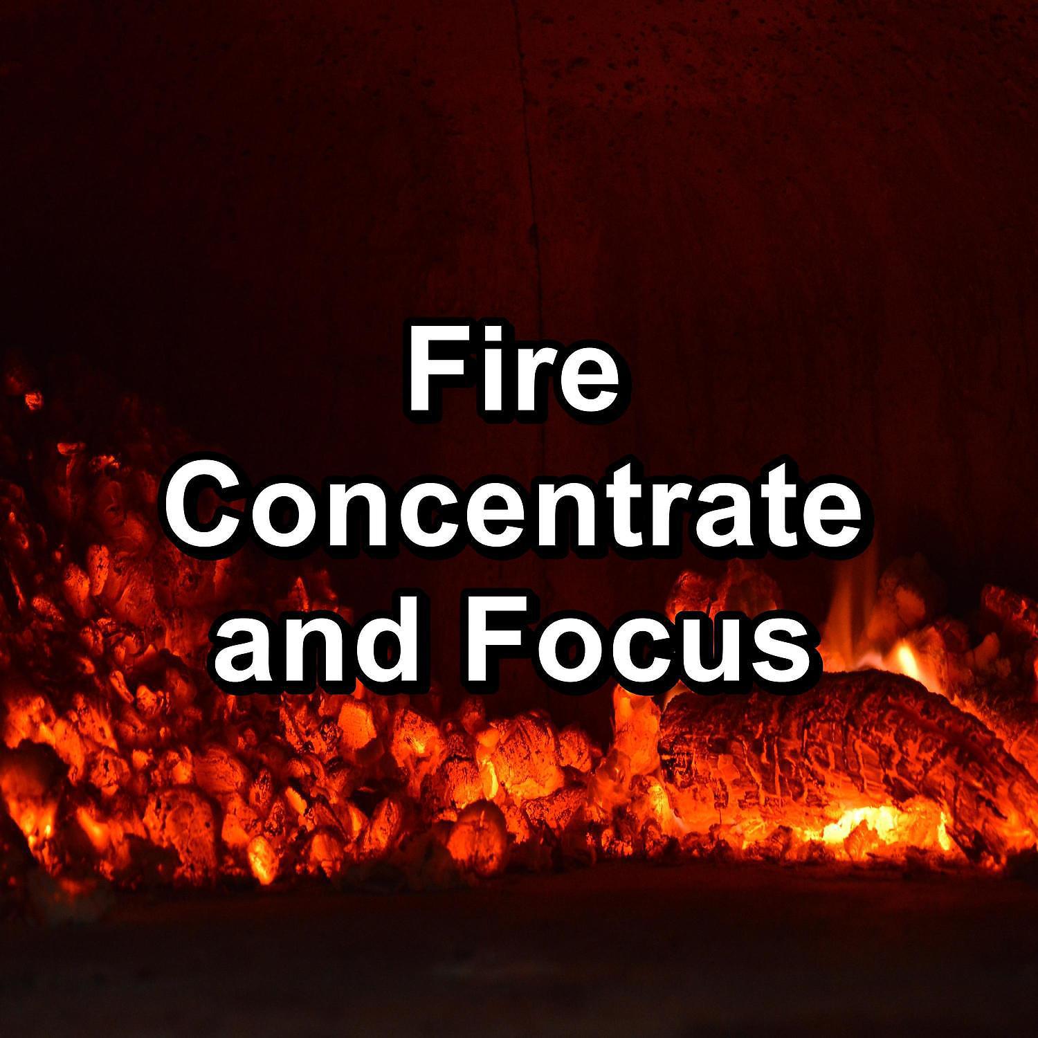 Постер альбома Fire Concentrate and Focus