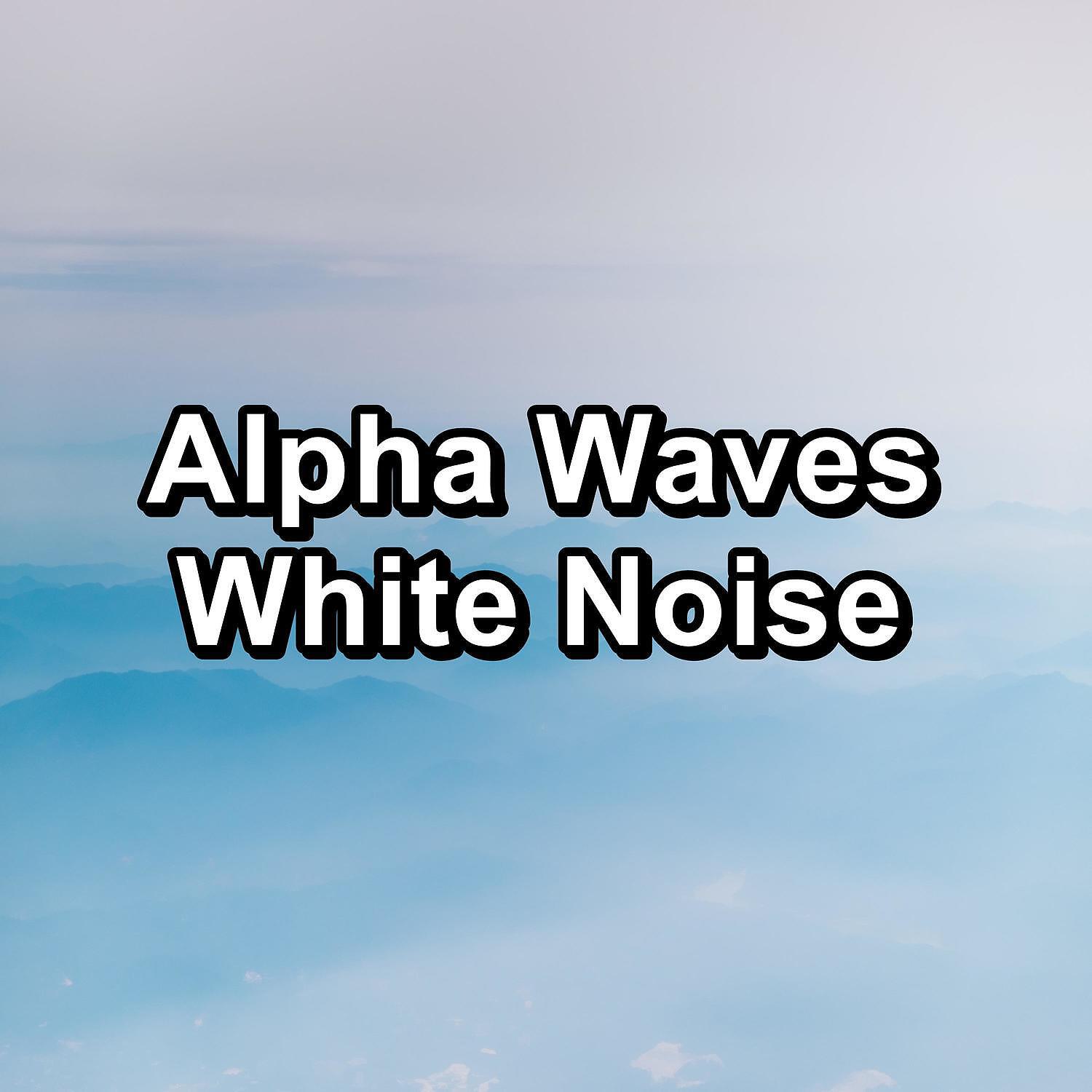 Study Alpha Waves - Digital Hair Dryer