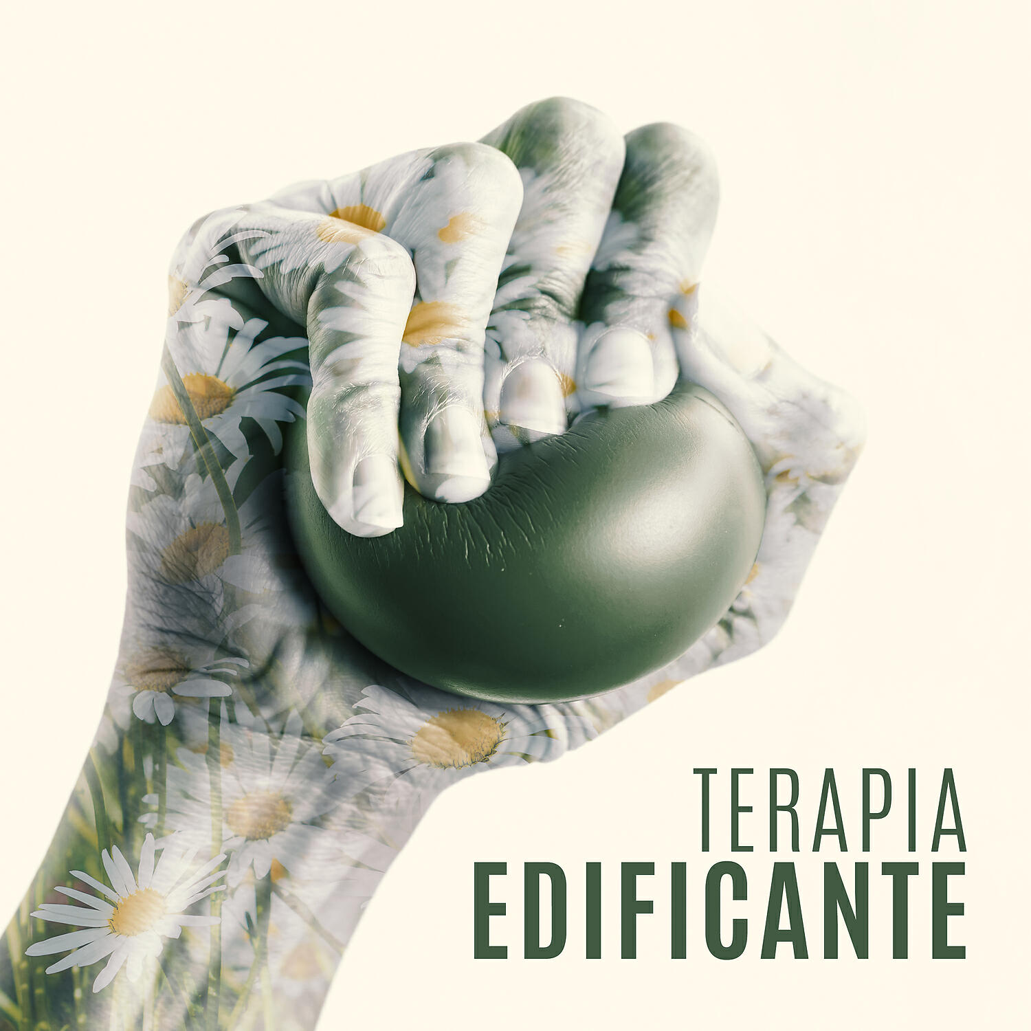 Academia de Música para Reducir el Estrés - Abre tu Mente