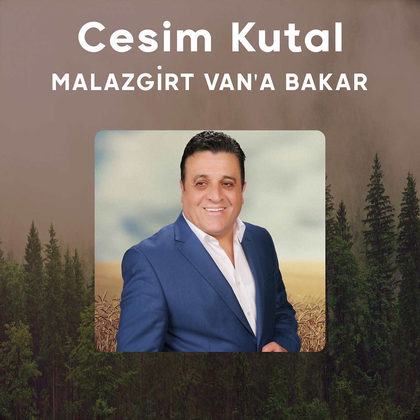 Постер альбома Malazgirt Van'a Bakar