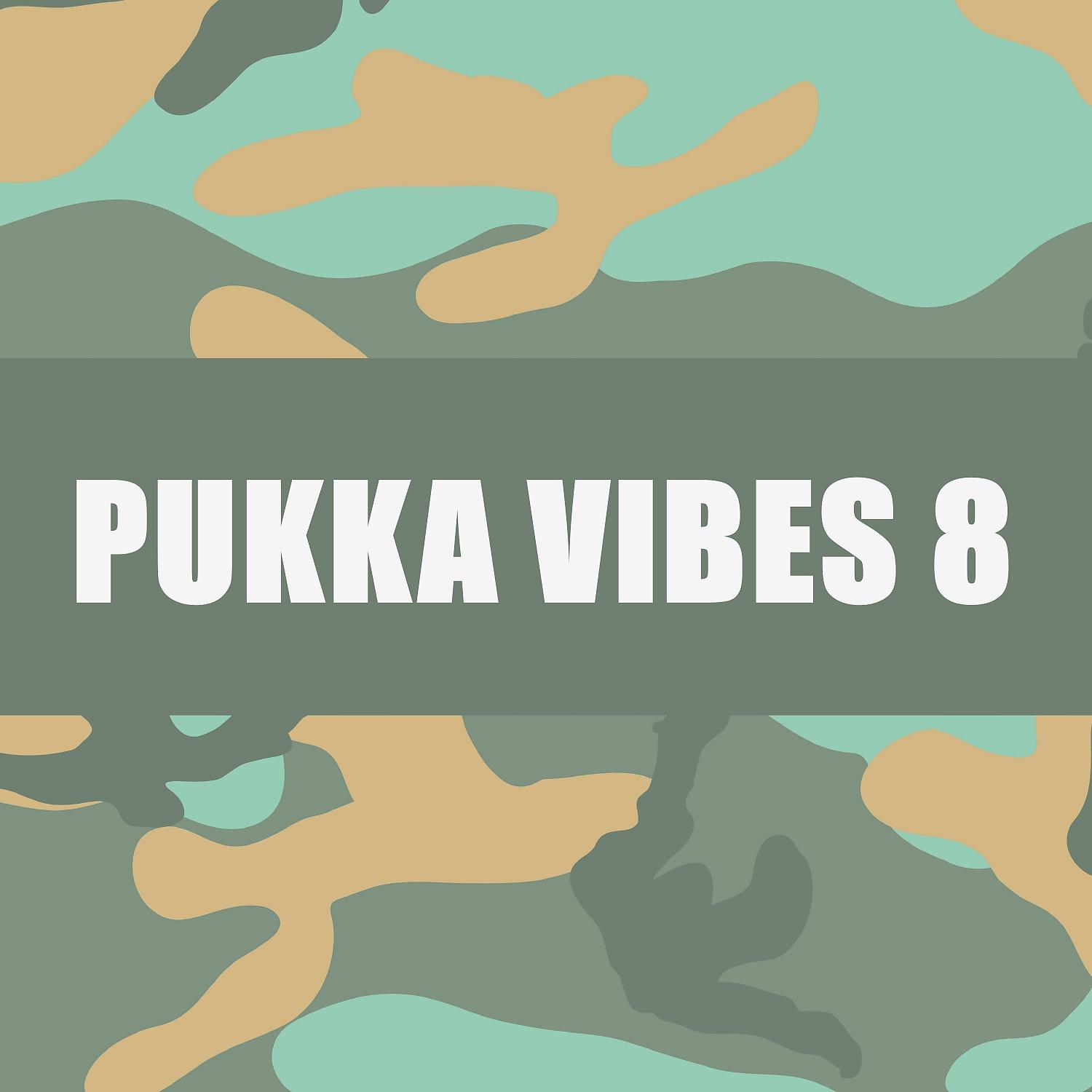 Постер альбома PUKKA VIBES 8