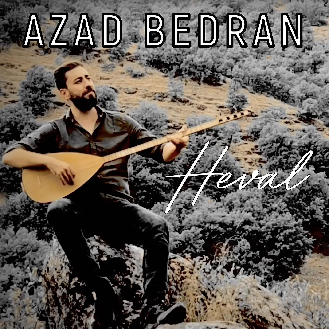 Azad Bedran - Heval
