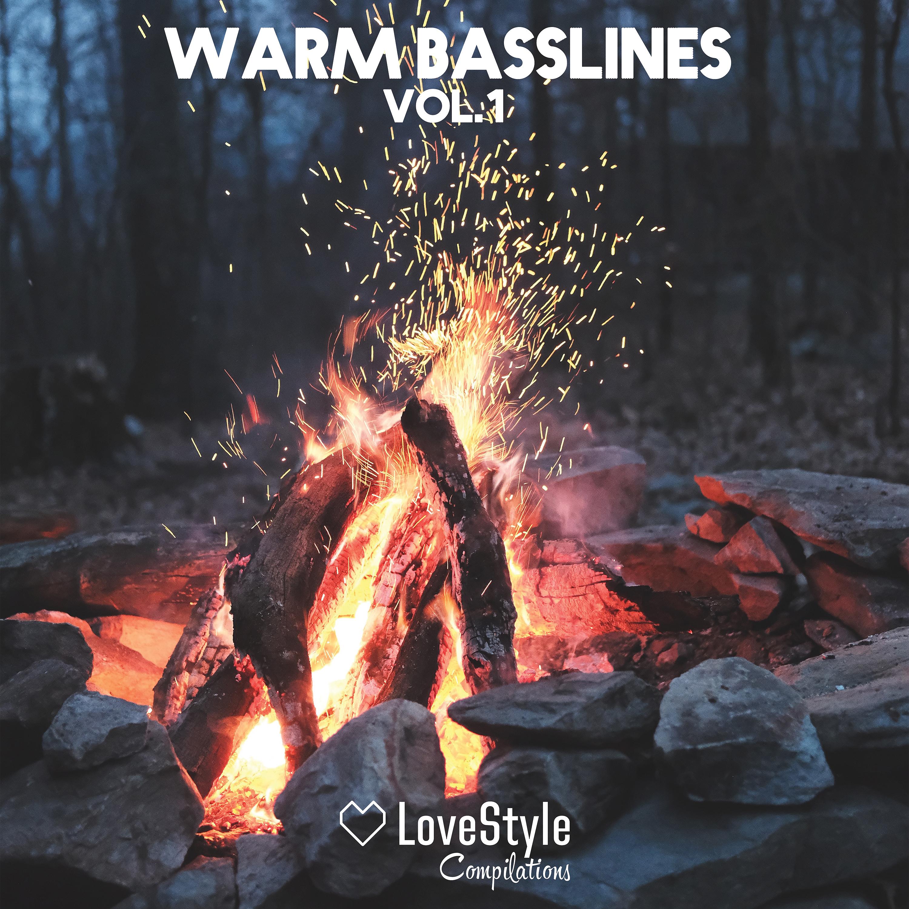 Постер альбома Warm Basslines, Vol. 1