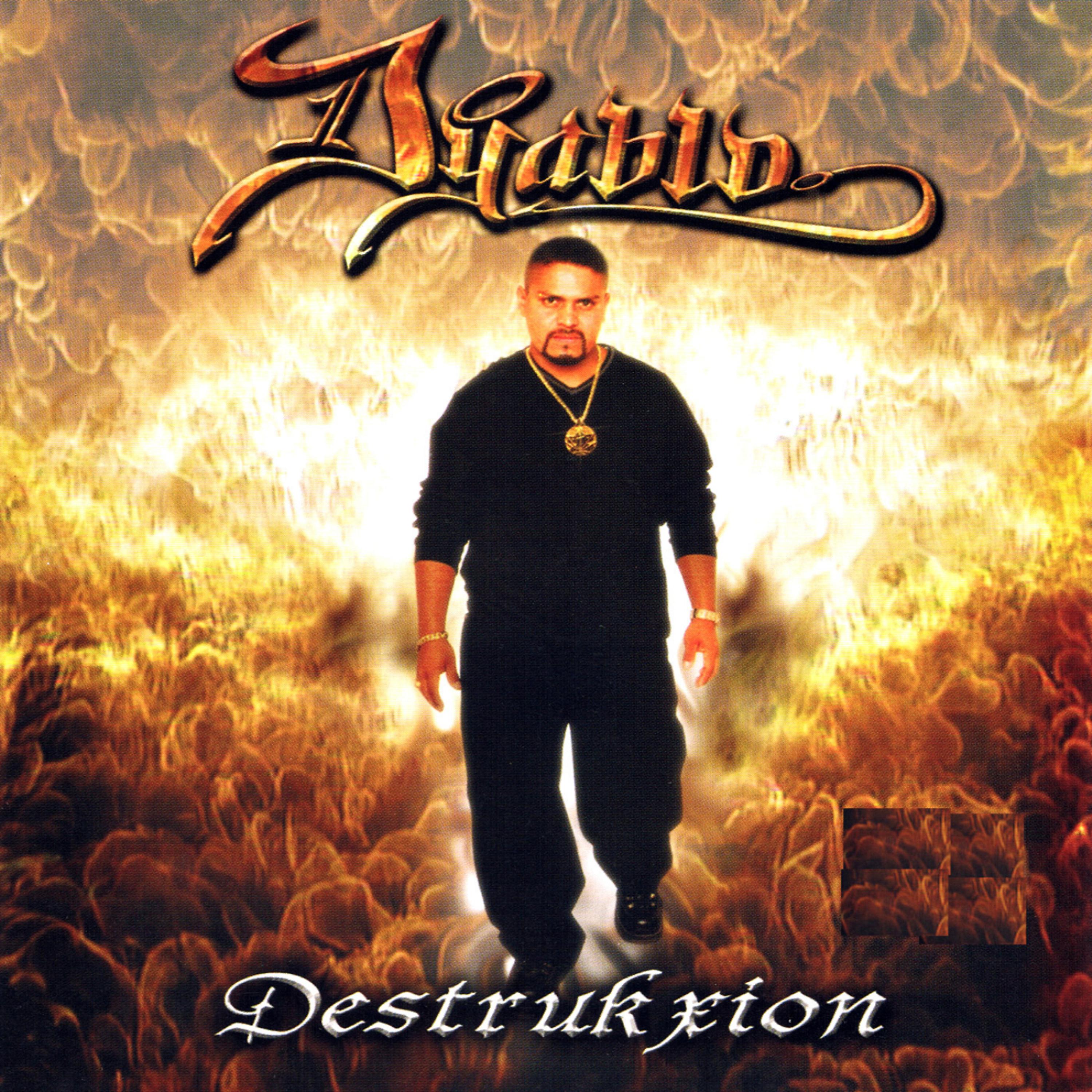 Постер альбома Destrukxion