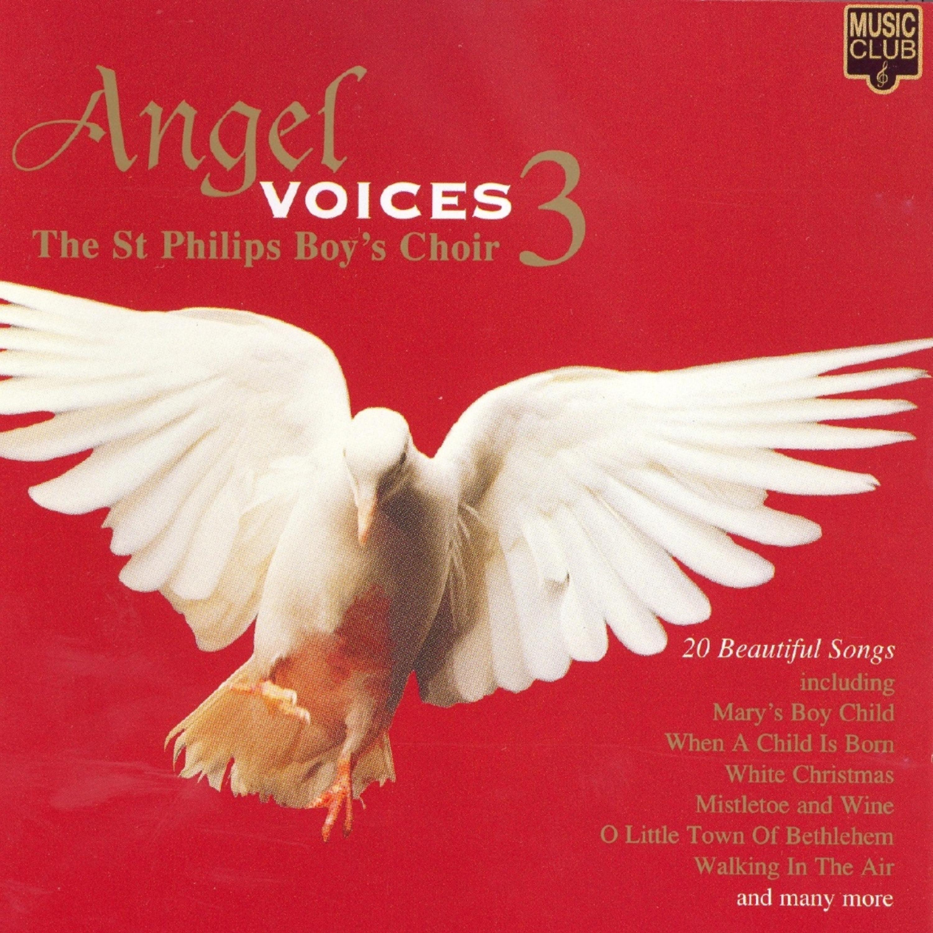 Постер альбома Angel Voices 3