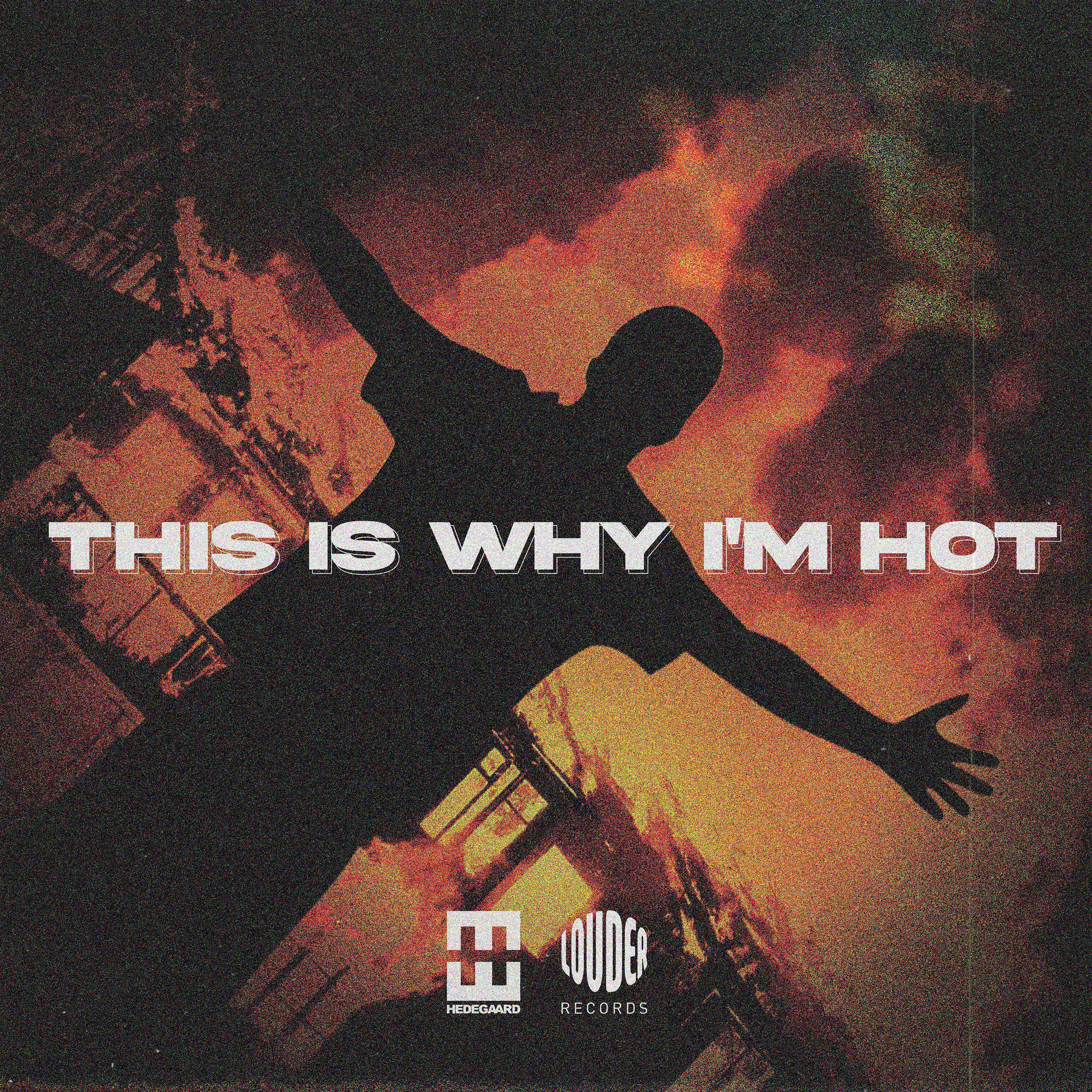 Постер альбома This Is Why I'm Hot (HEDEGAARD Remix)