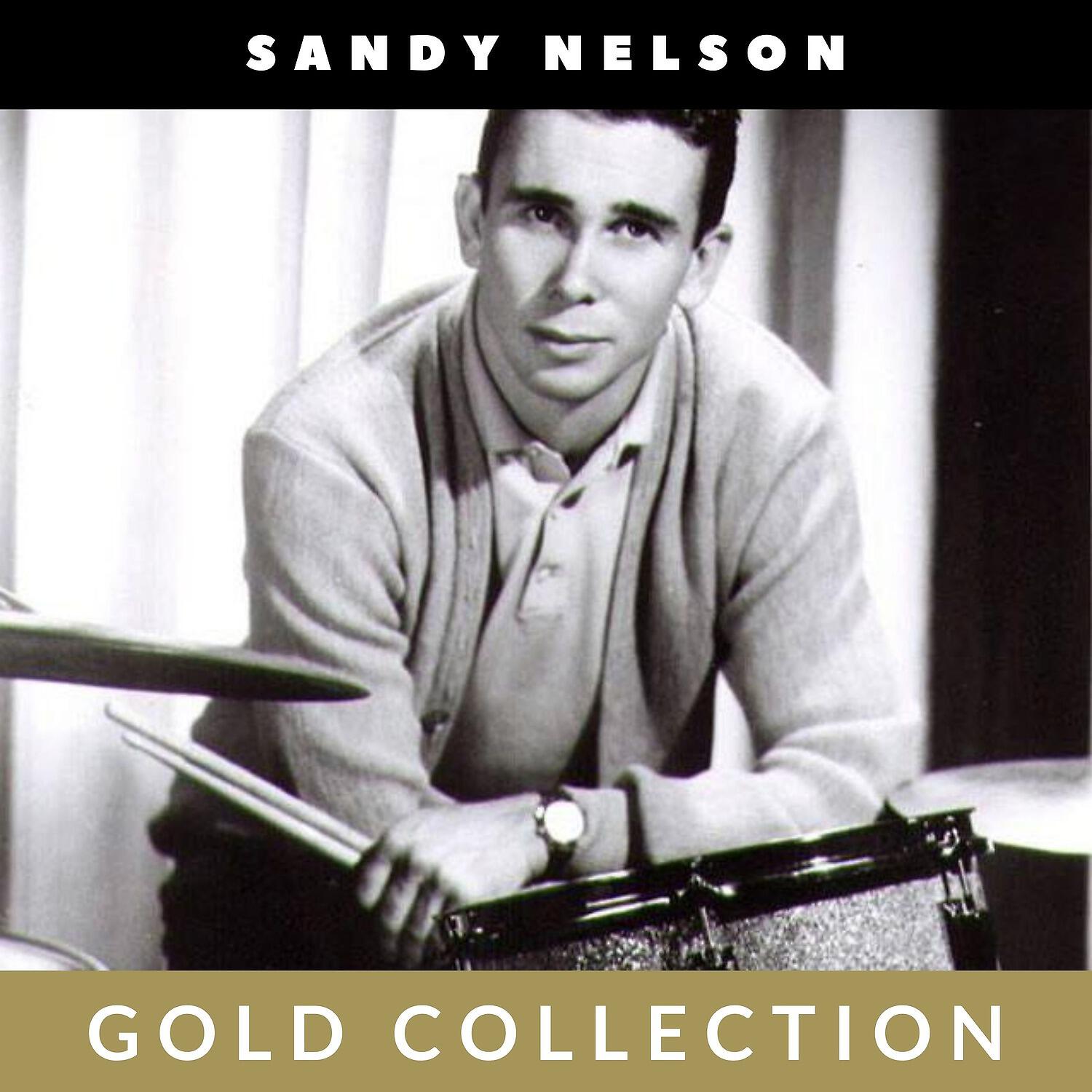 Sandy Nelson - My Wife Cant Cook