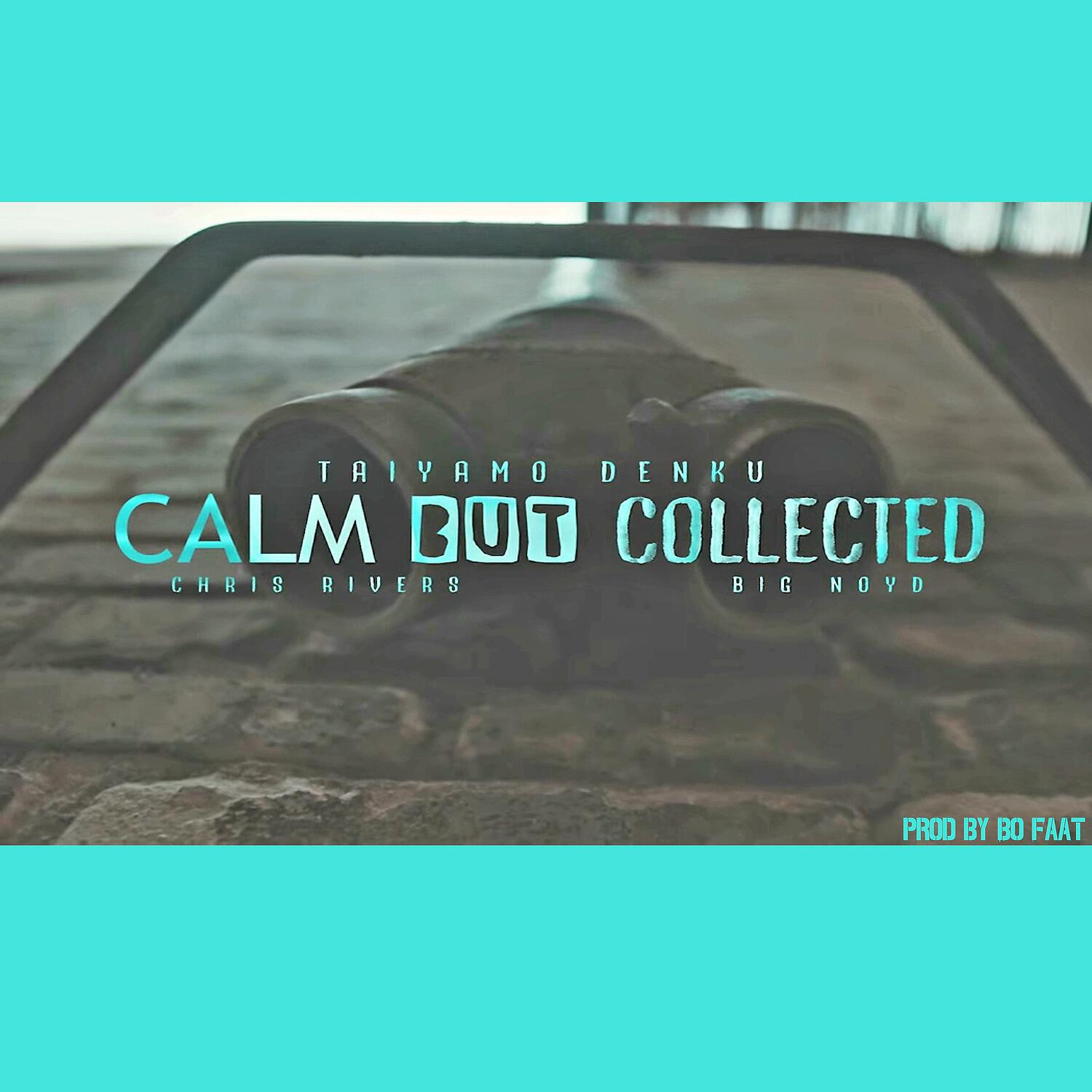 Taiyamo Denku - Calm but Collected