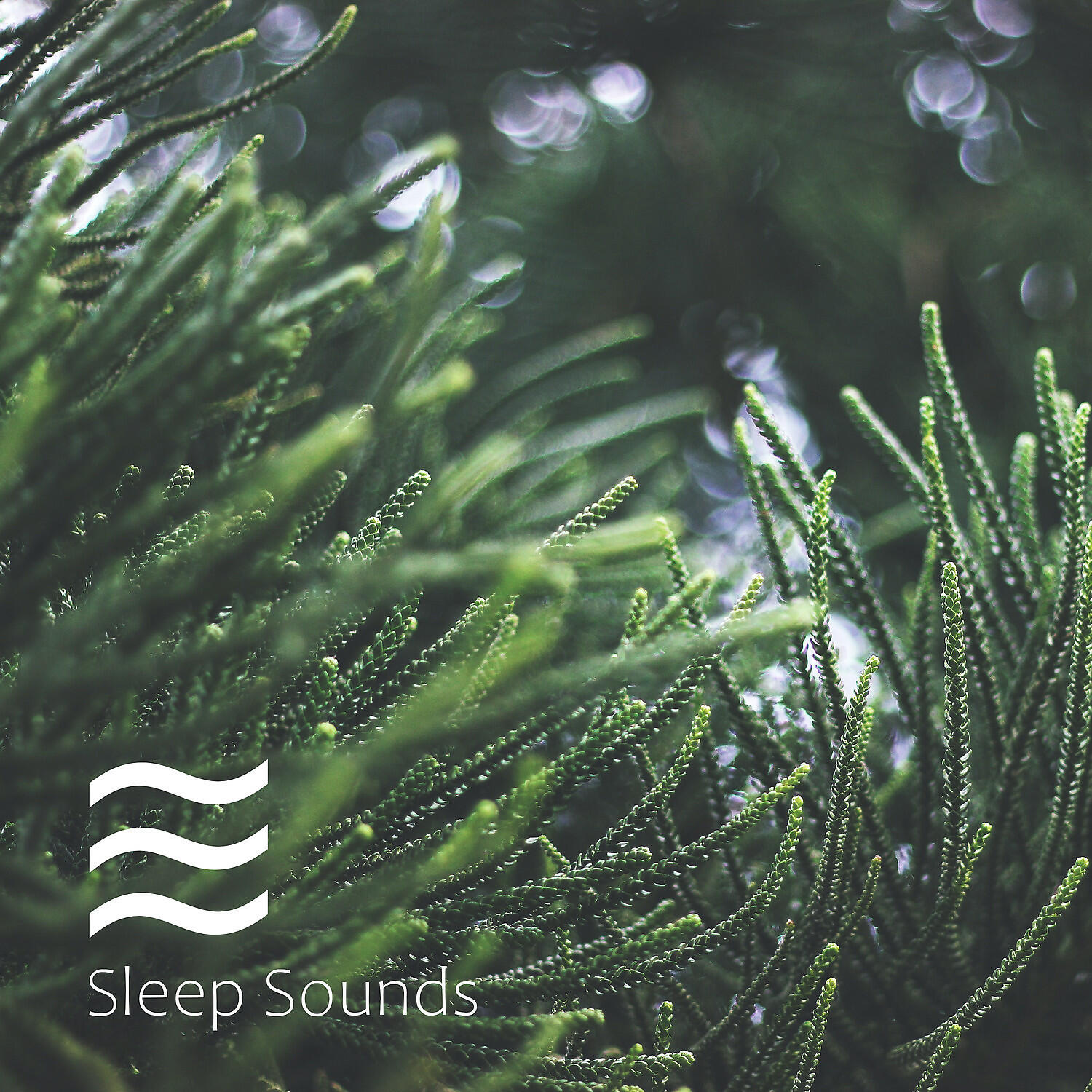 Cosy Rain Shusher - Cosy Calmful Shushing Noises of Raining