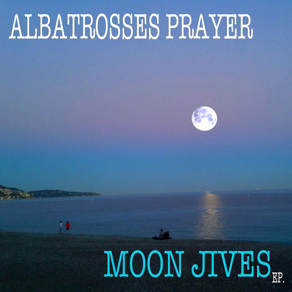 Albatrosses Prayer - 828000Kph