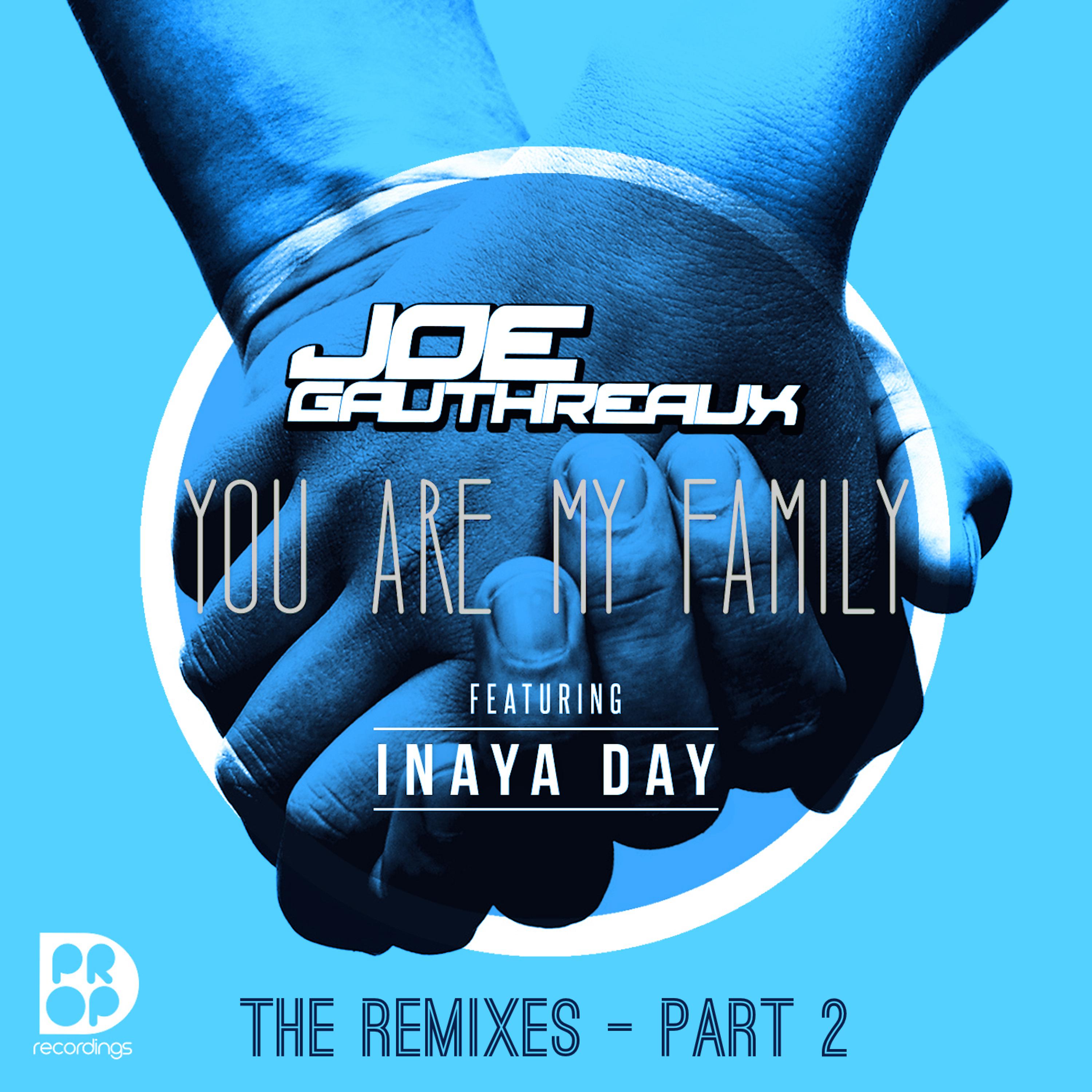Постер альбома You Are My Family - The Remixes Part 2