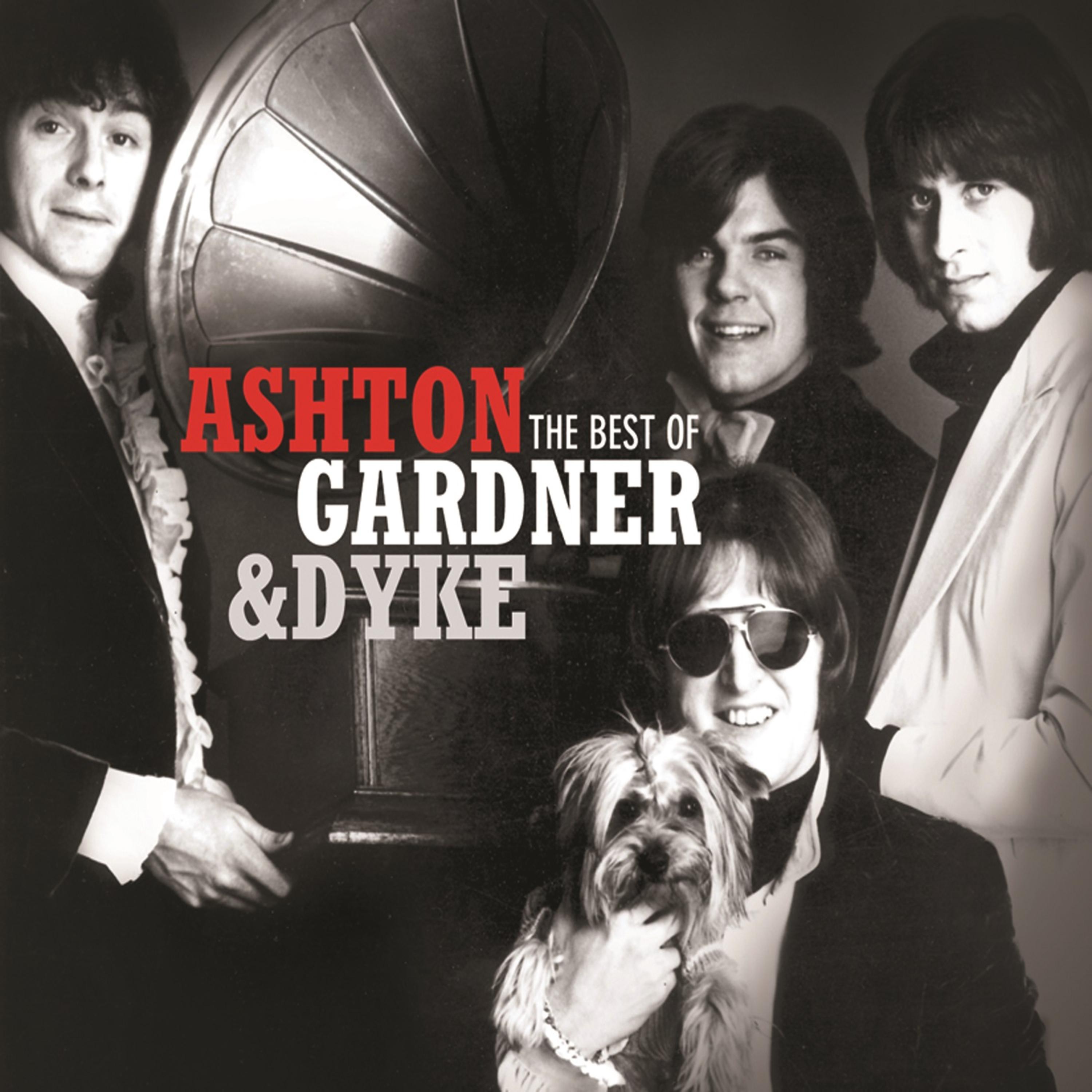 Постер альбома The Best of Ashton Gardner & Dyke