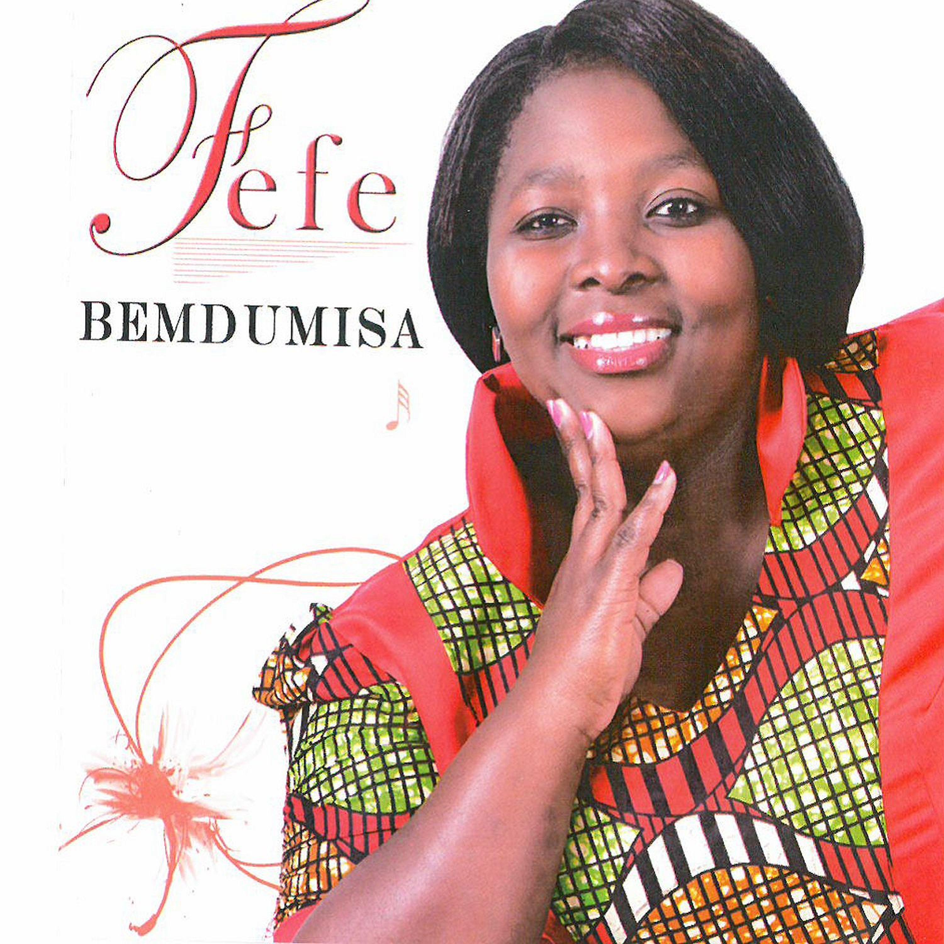 Постер альбома Bemdumisa