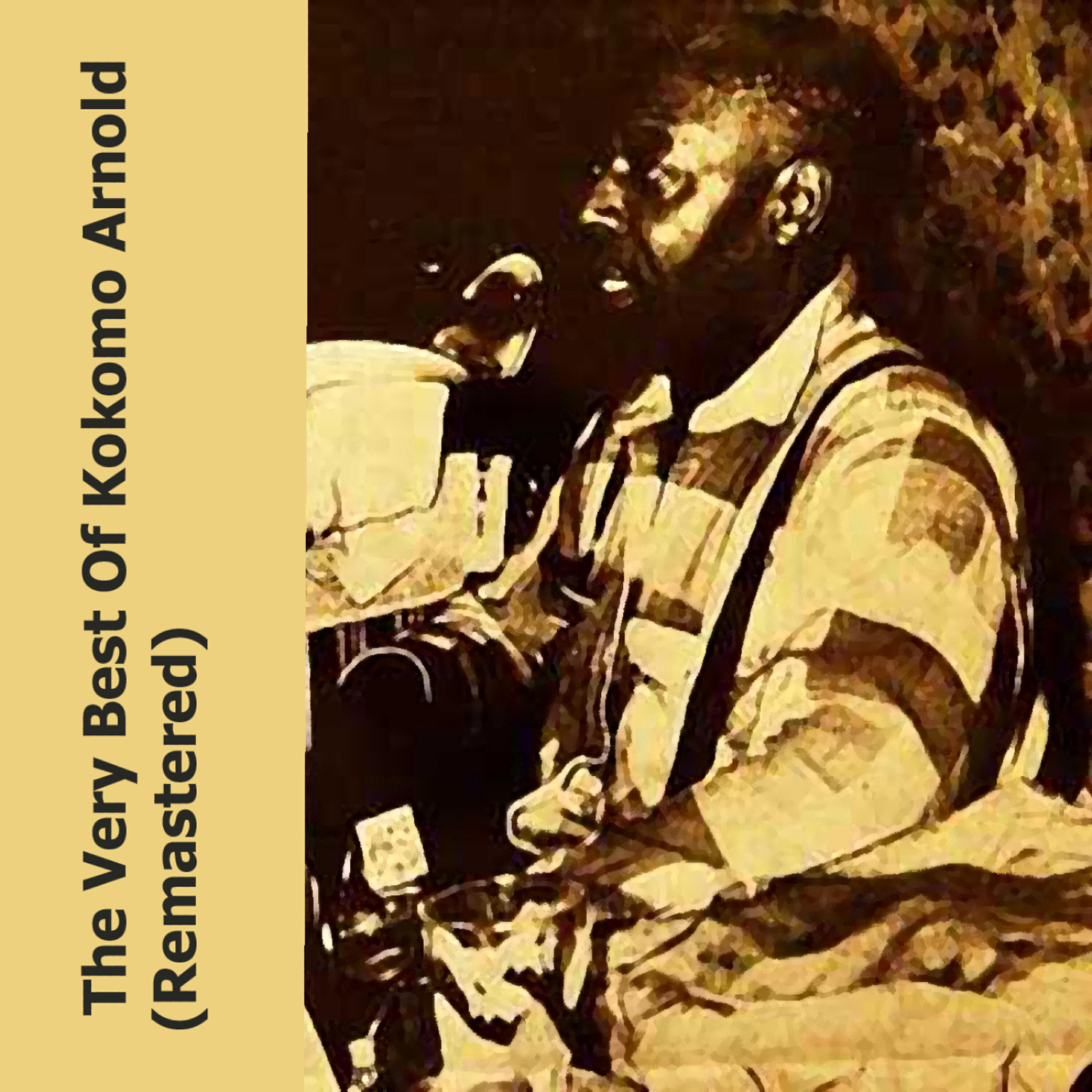 Kokomo Arnold - Laugh And Grin Blus