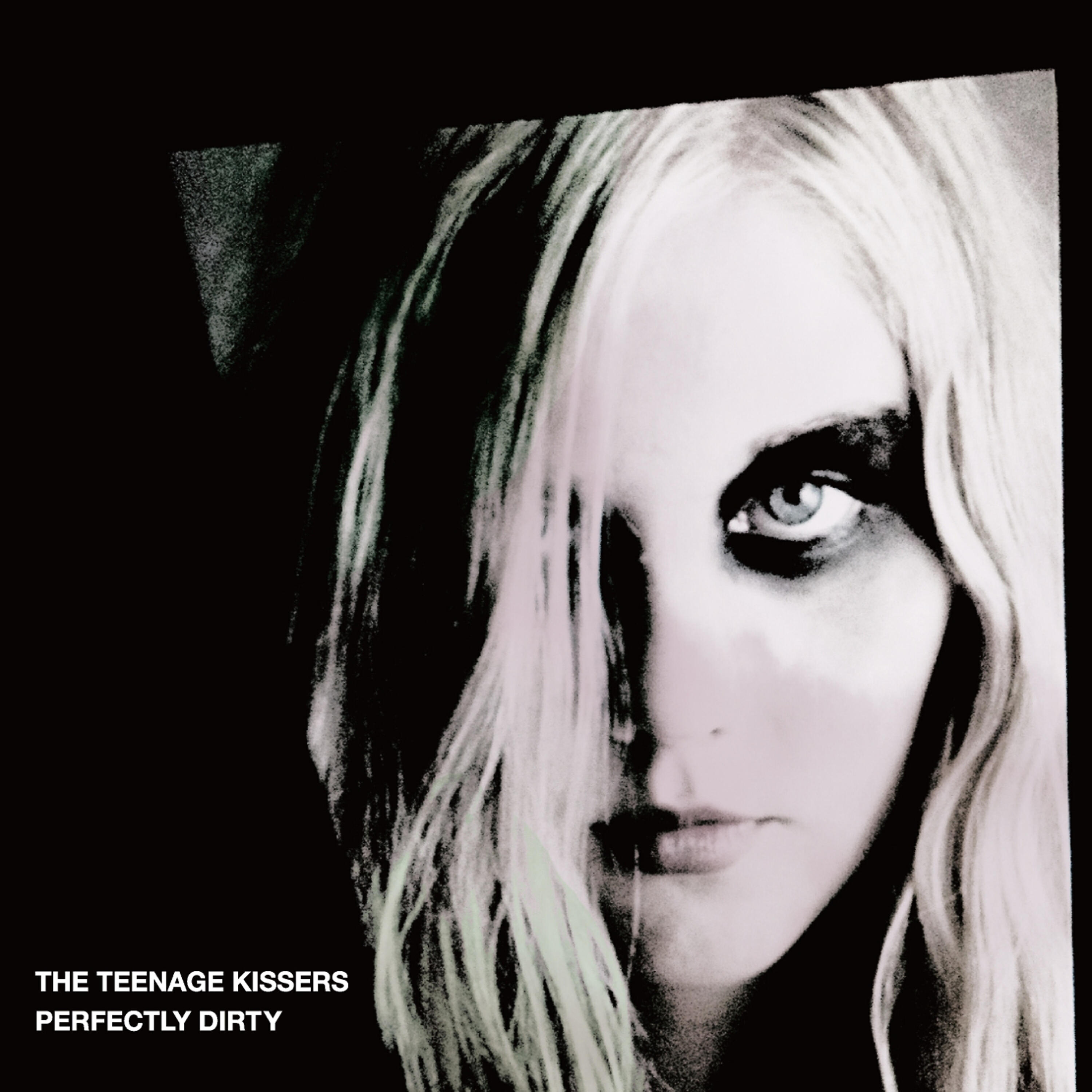 THE TEENAGE KISSERS - Black Skinny Bird