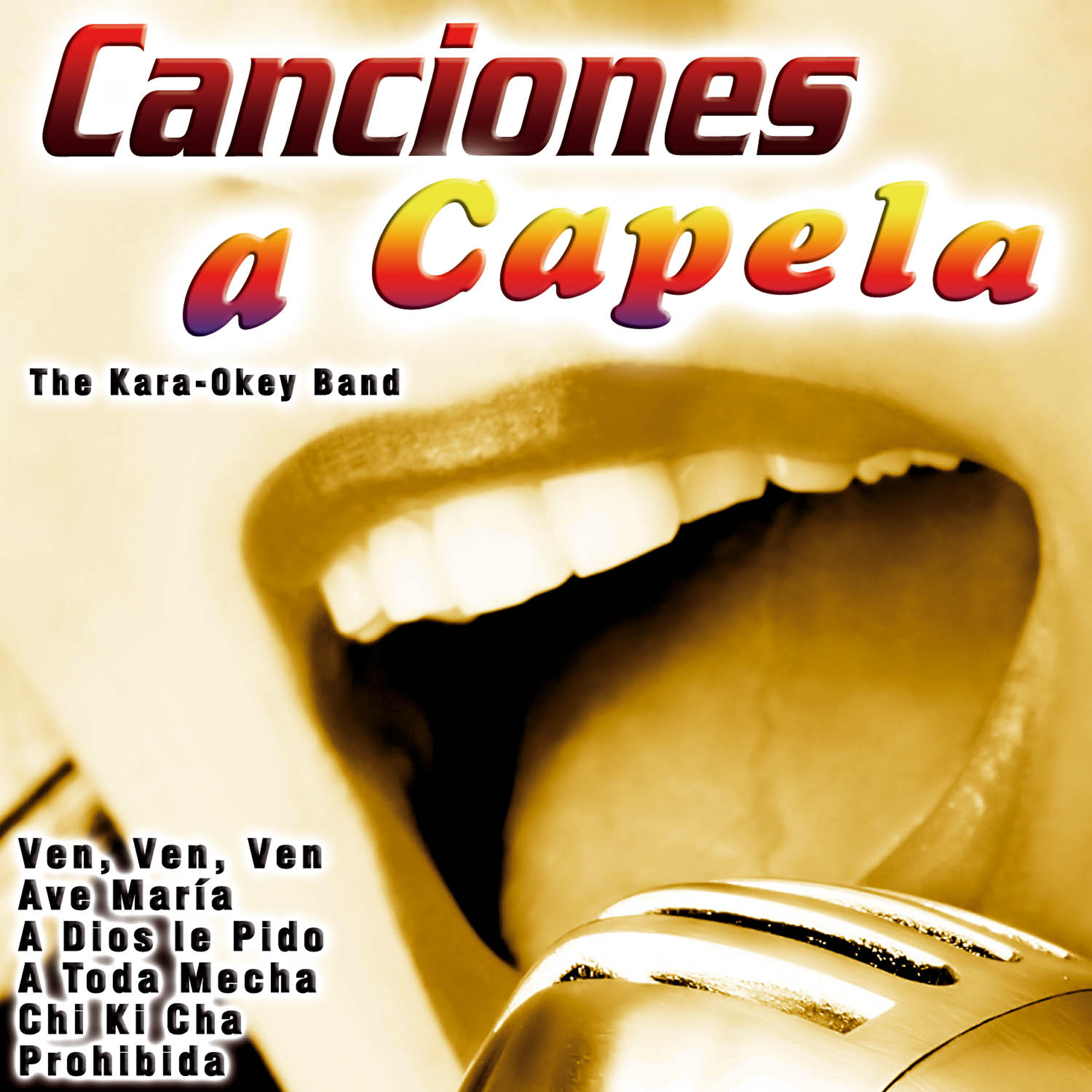 The Kara-Okey Band - Azul