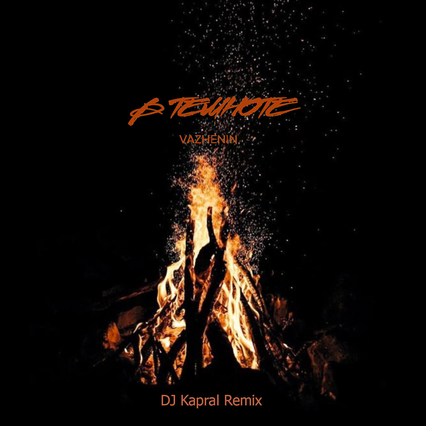 VAZHENIN - В темноте (DJ Kapral Dance Remix)