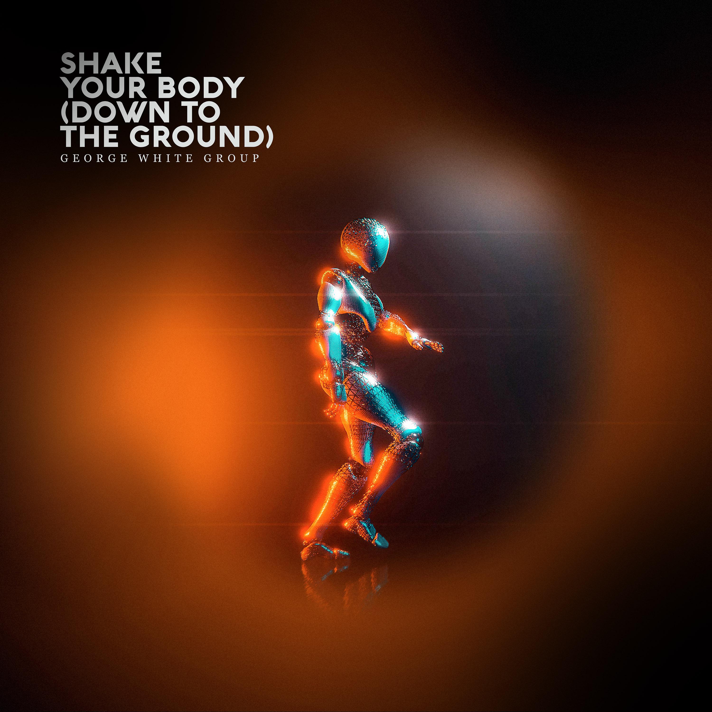 Постер альбома Shake Your Body (Down to the Ground)