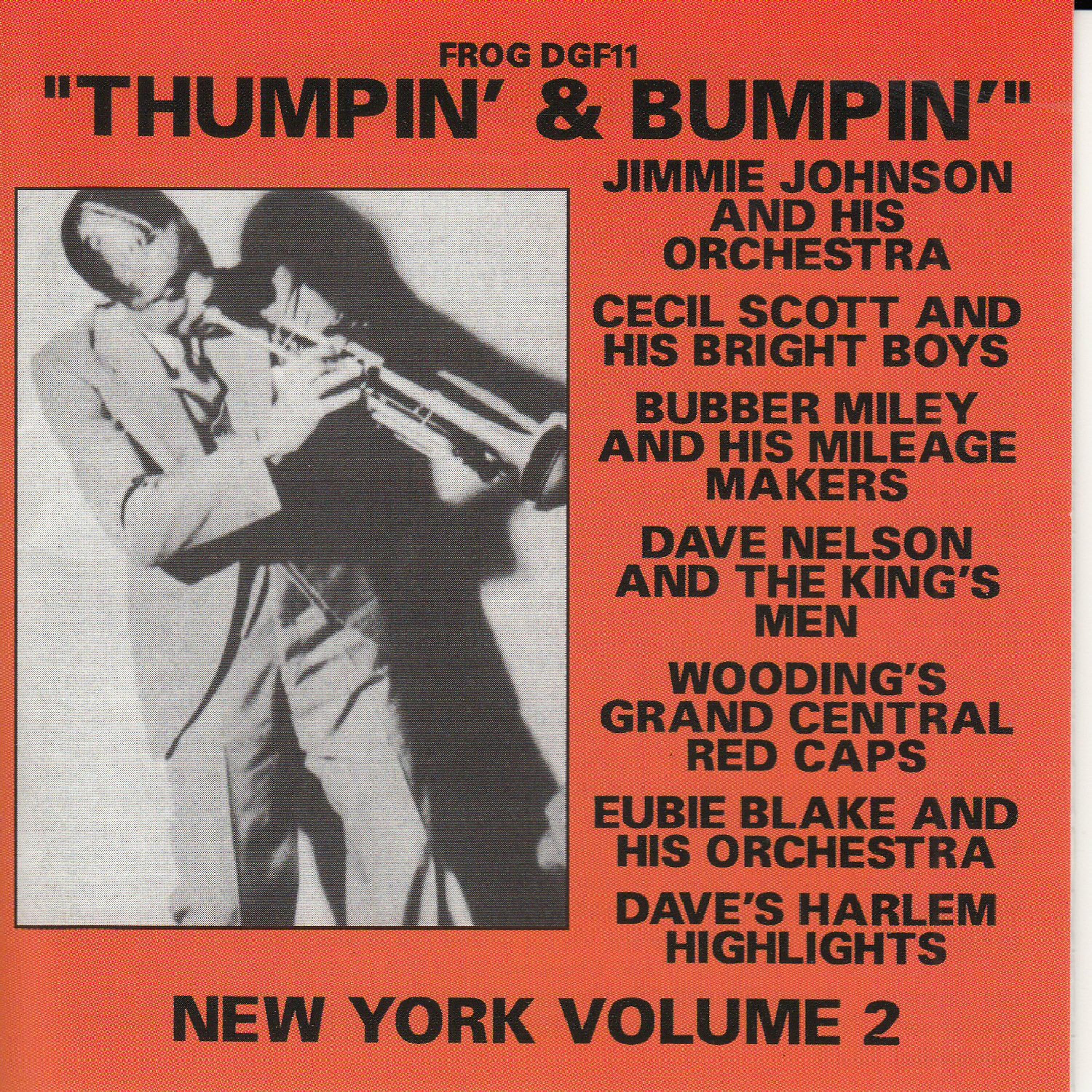 Постер альбома Thumpin' & Bumpin' - New York, Vol. 2