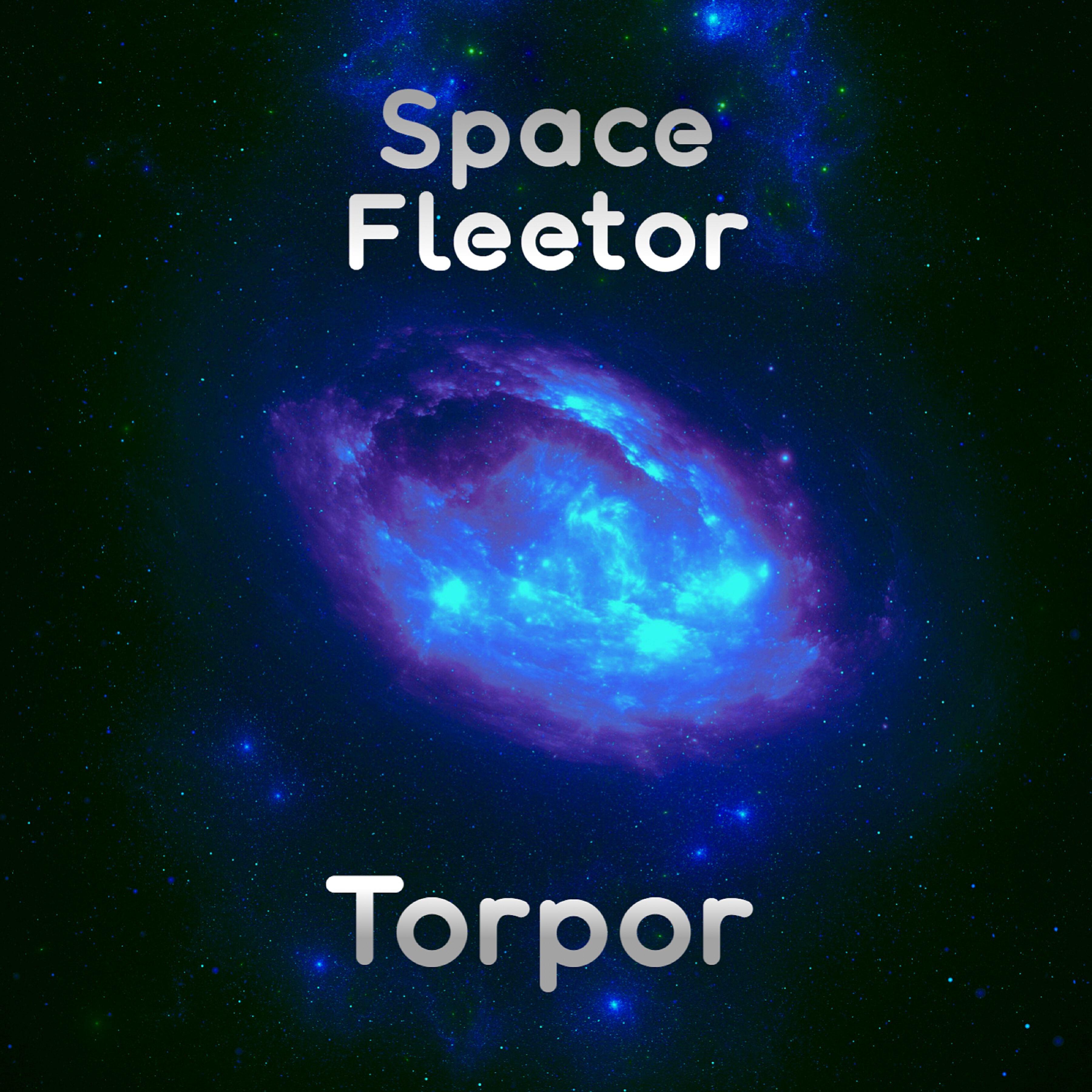 Space Fleetor - Torpor