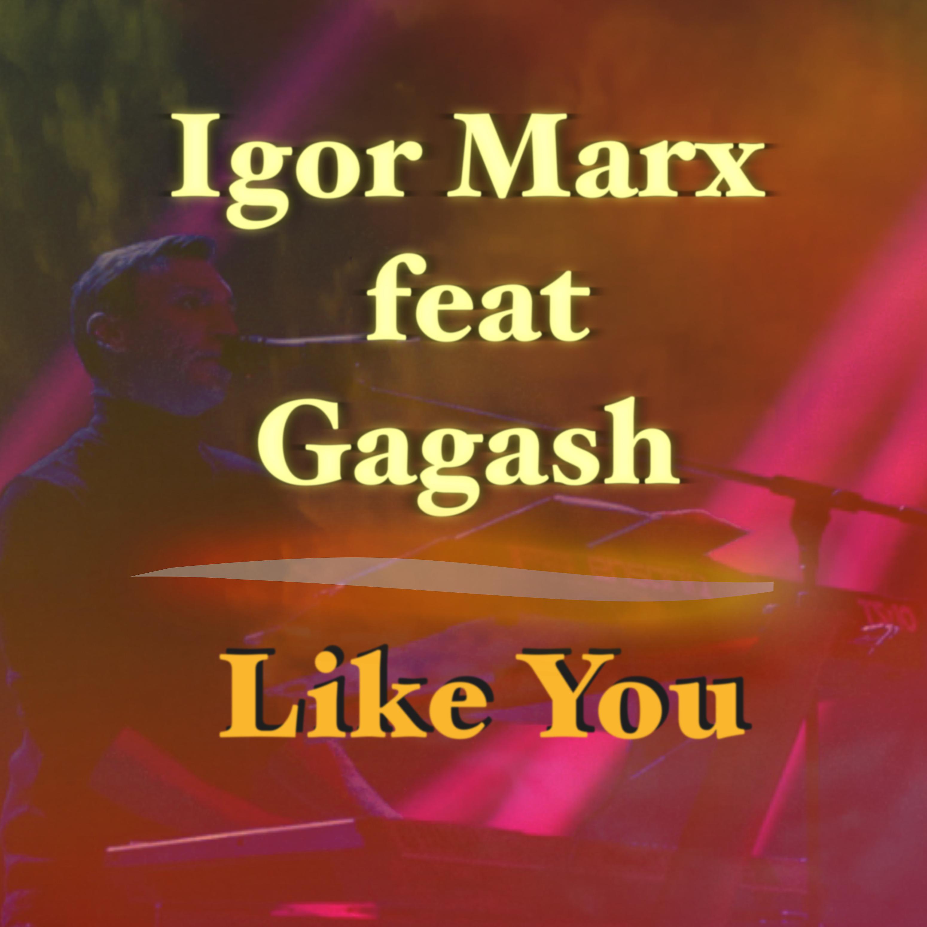Постер альбома Like You (feat. Gagash)