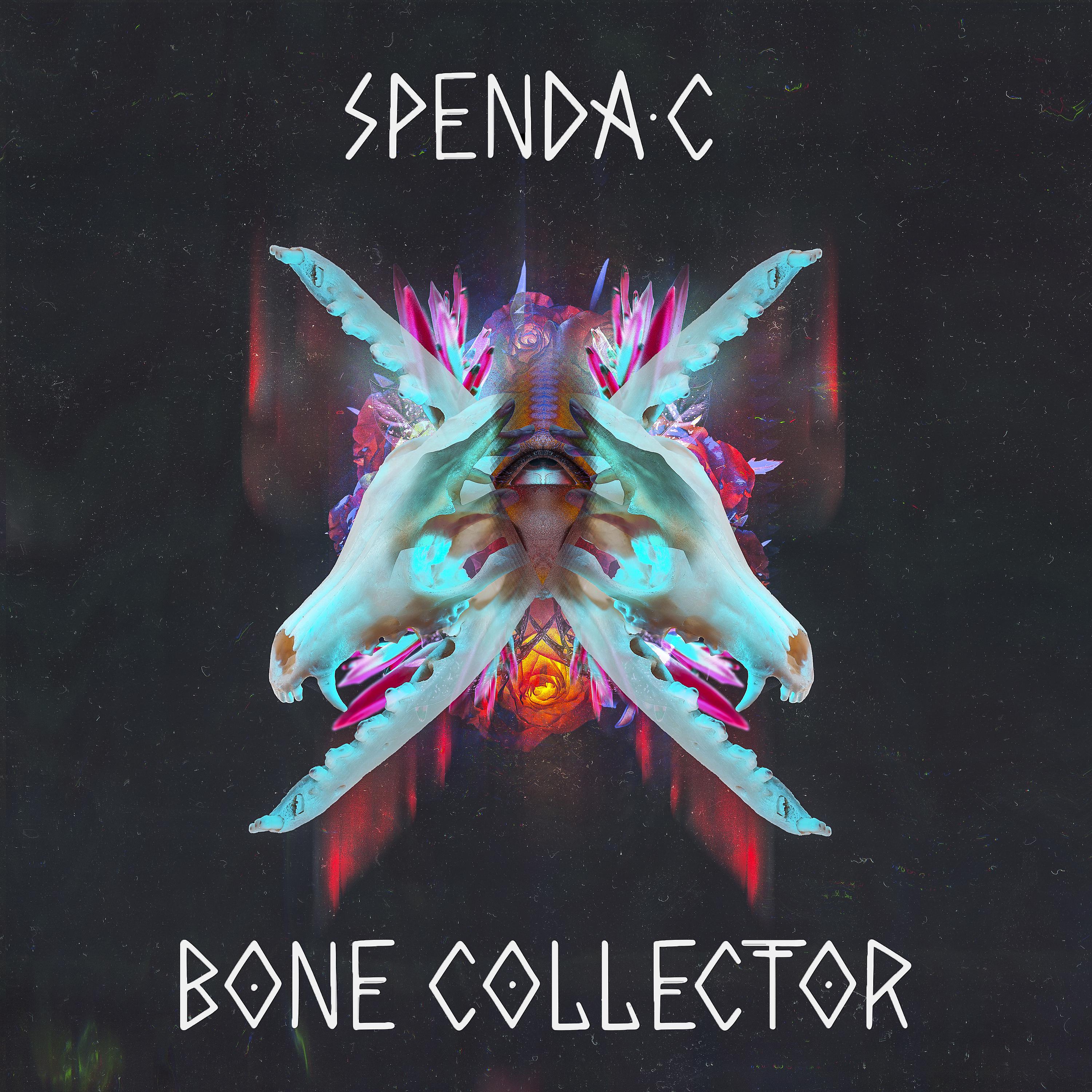 Постер альбома Bone Collector