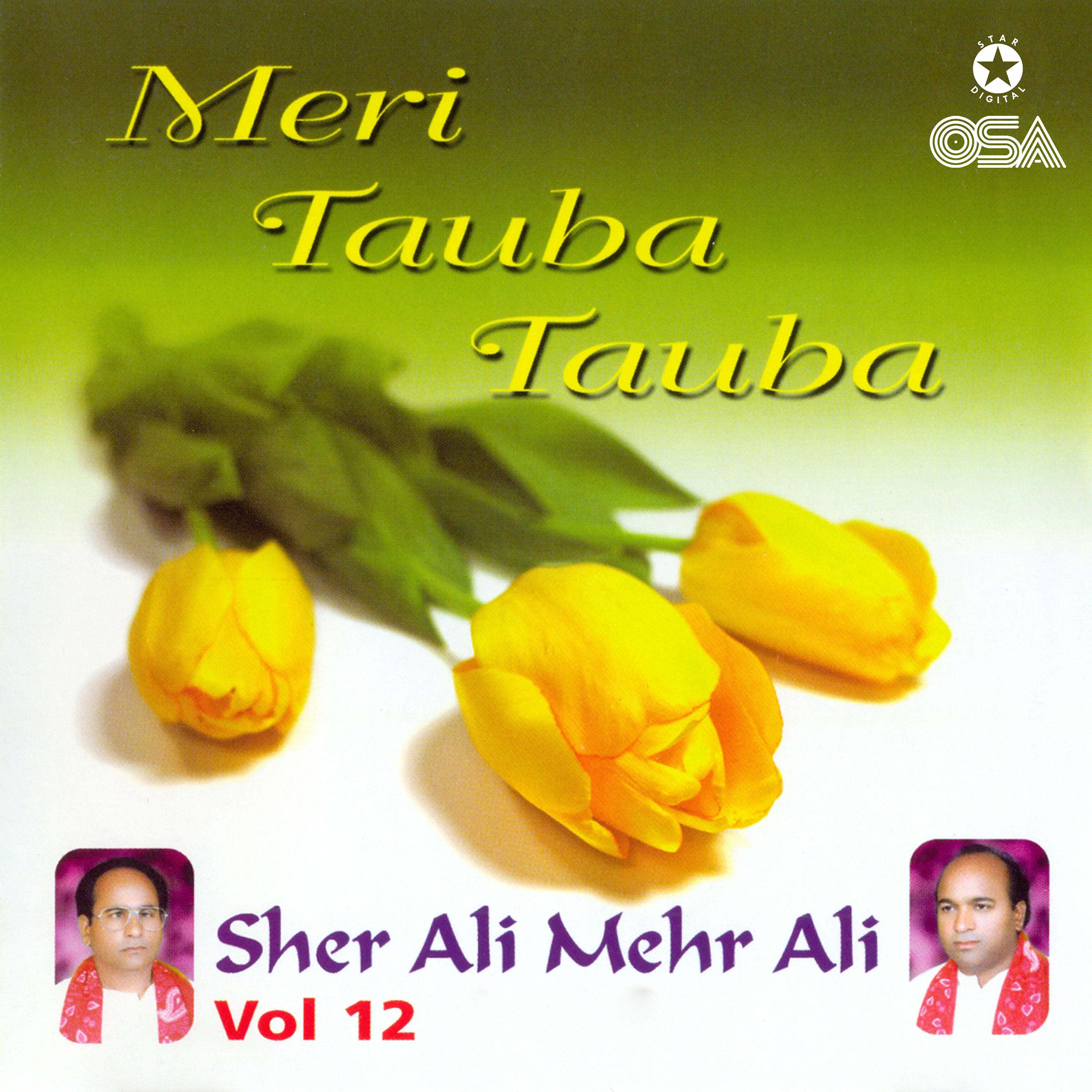 Постер альбома Meri Tauba Tauba, Vol. 12