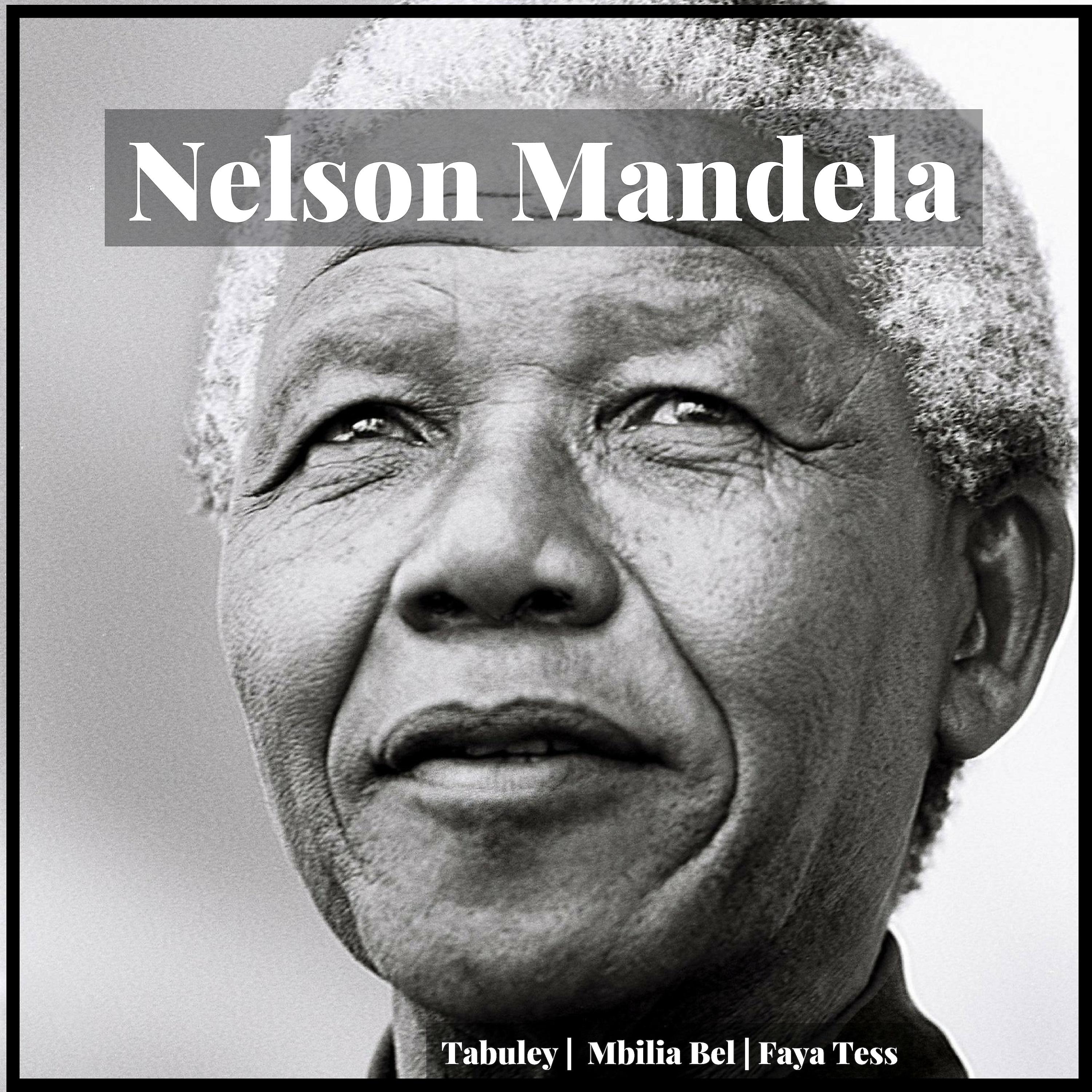 Постер альбома Nelson Mandela