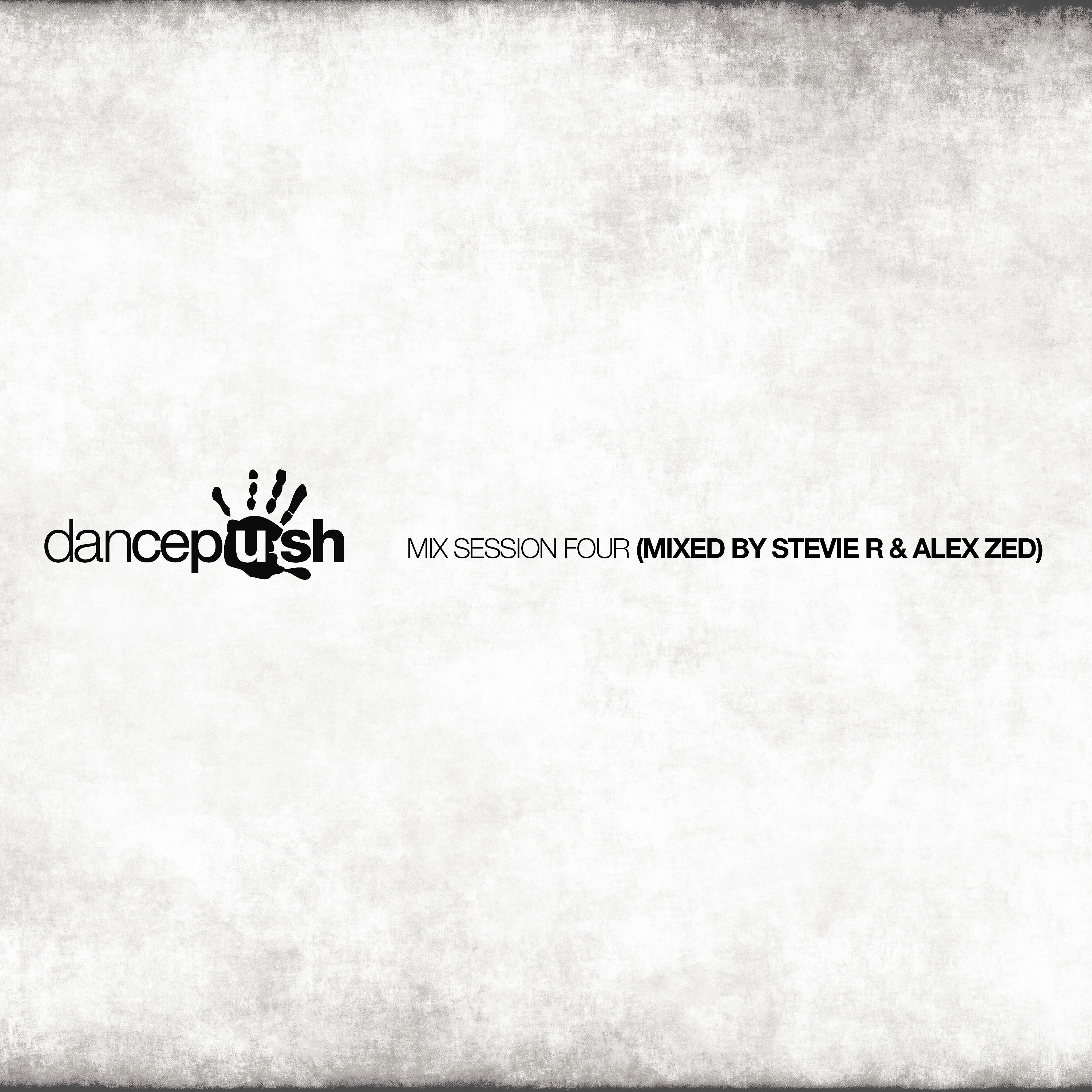 Постер альбома Dancepush Mix Session Four