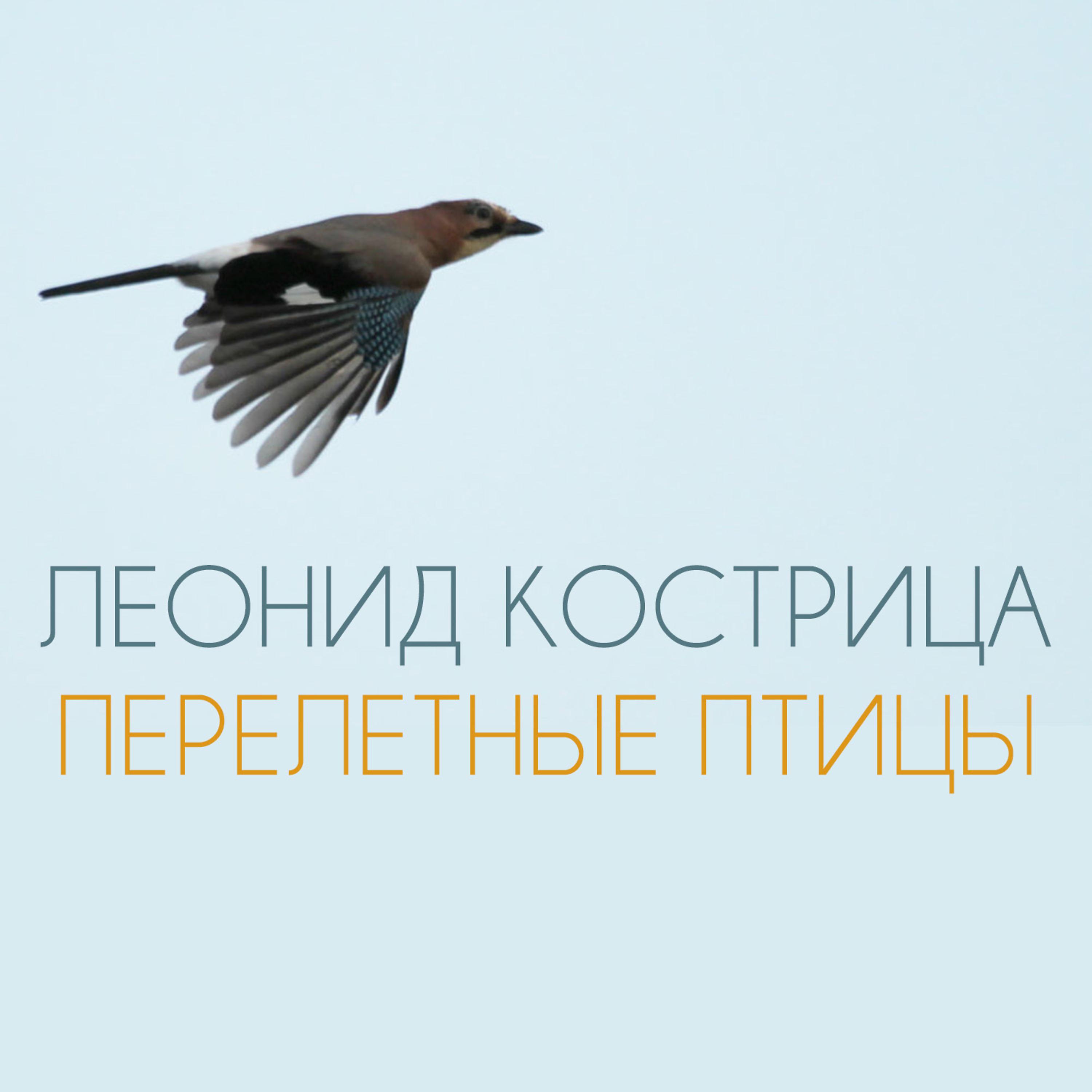 Постер альбома Перелетные Птицы