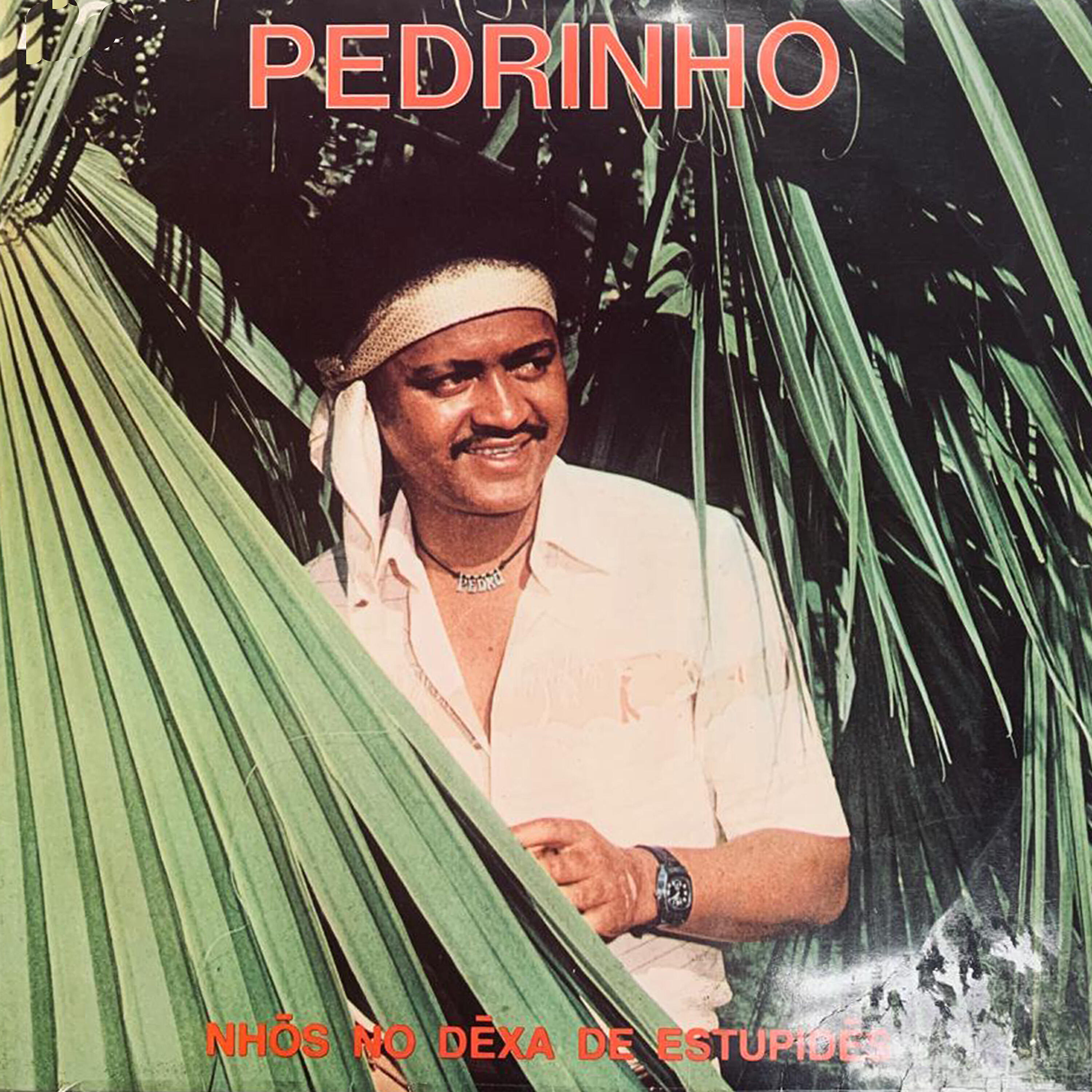 Pedrinho - Nhós No Deixa de Estupidés