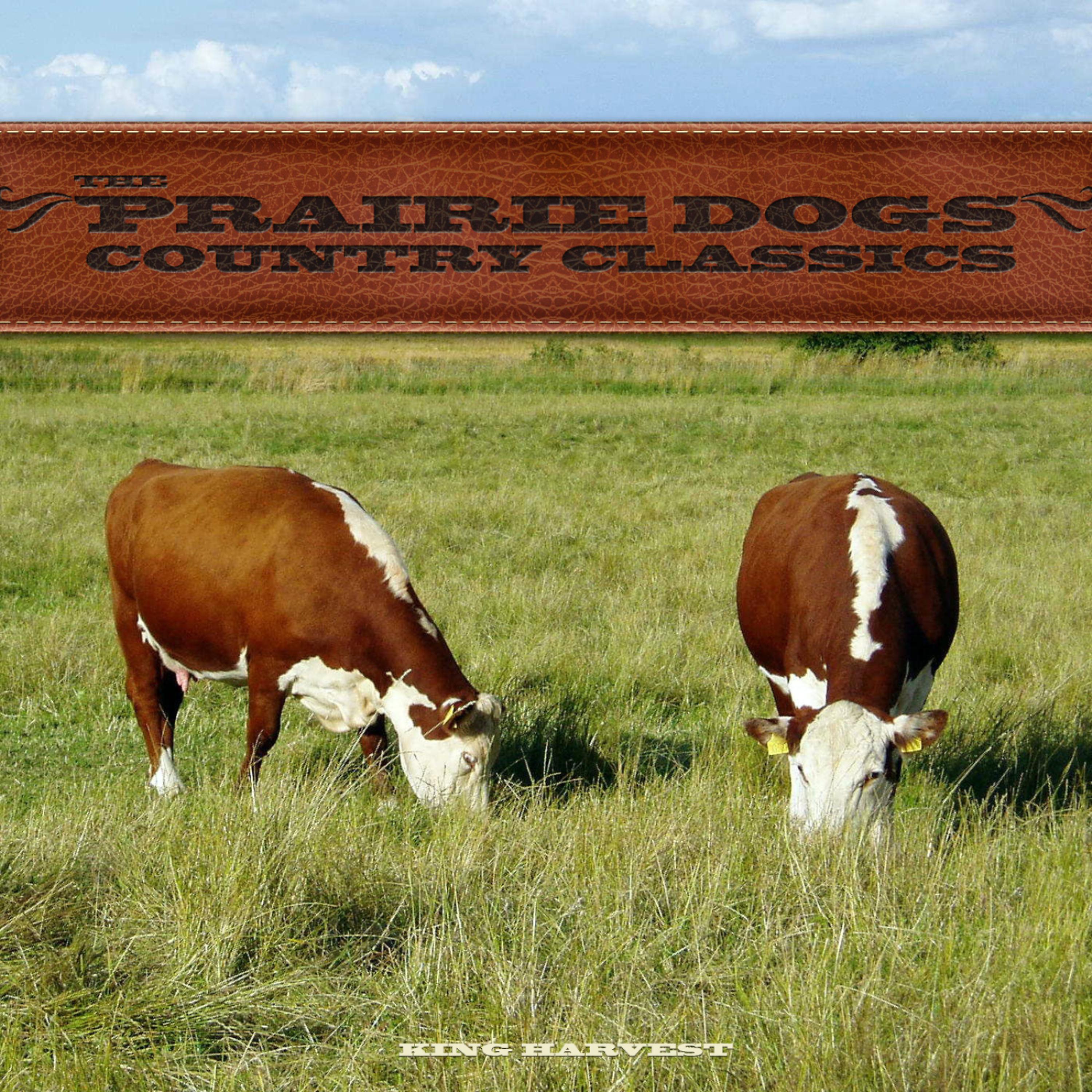 Постер альбома The Prairie Dogs - Country Classics