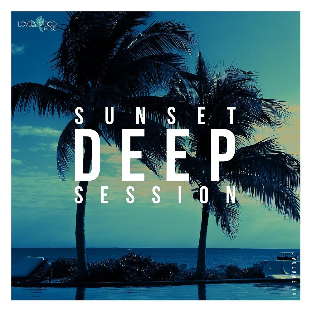 Постер альбома Sunset Deep Session, Vol. 14